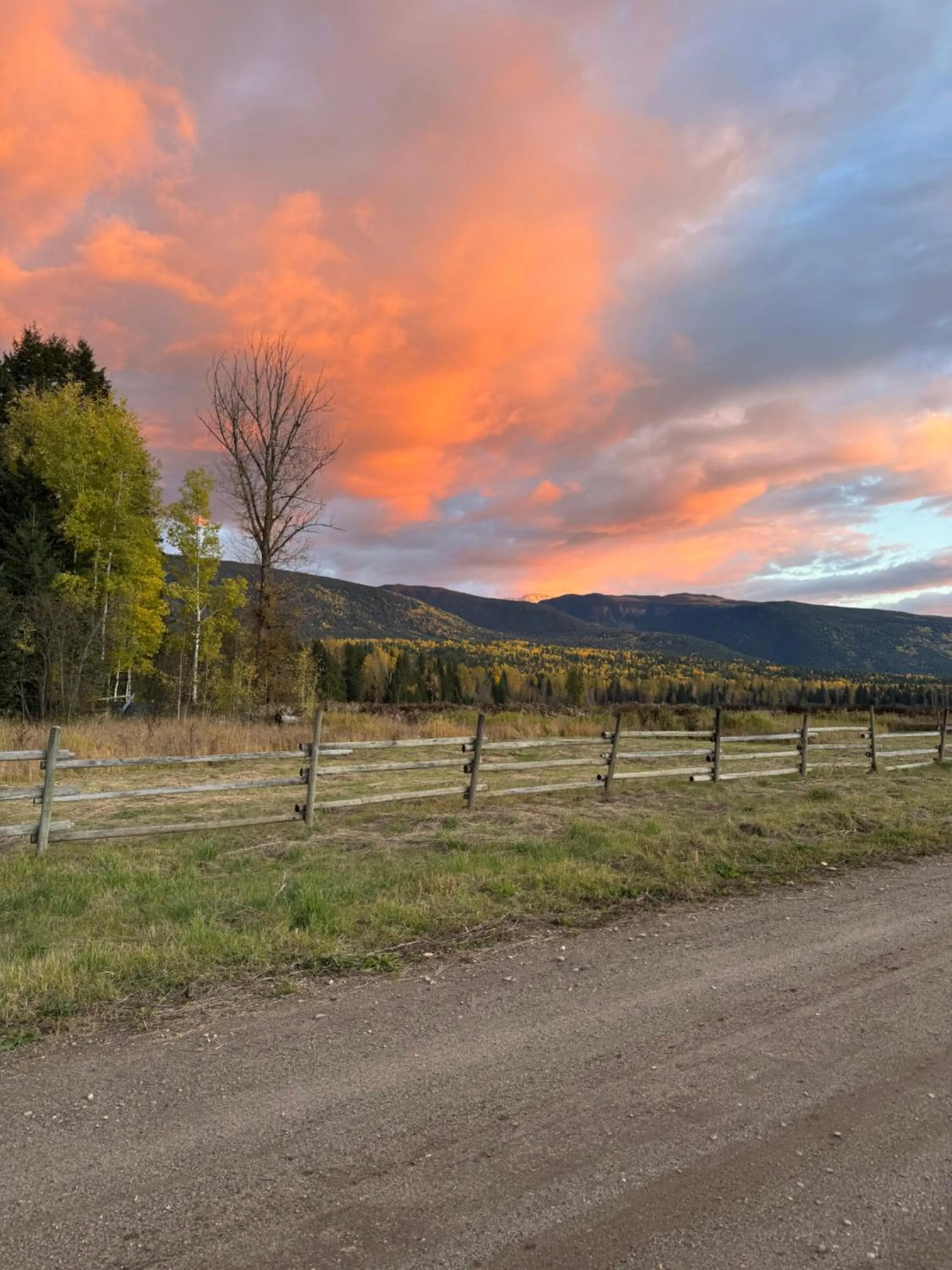View (from property/room) in Nakiska Bear Ranch