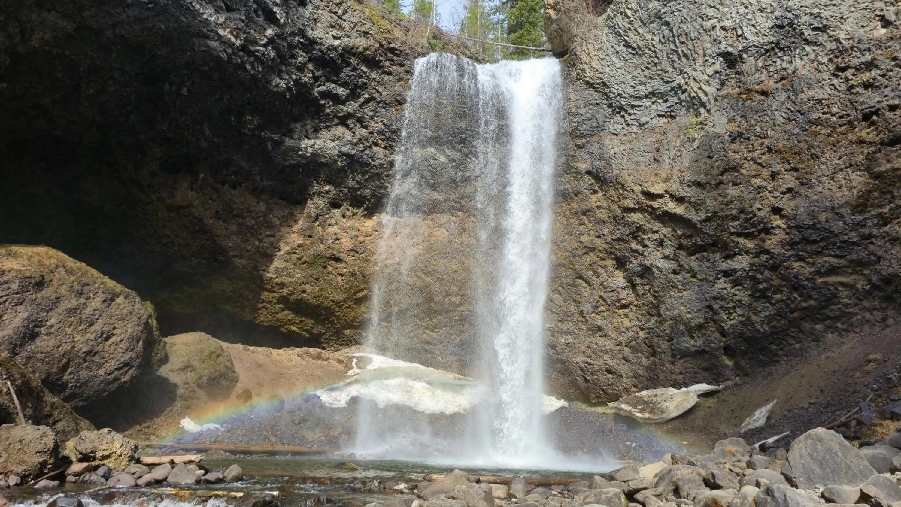 Nearby landmark in Nakiska Bear Ranch
