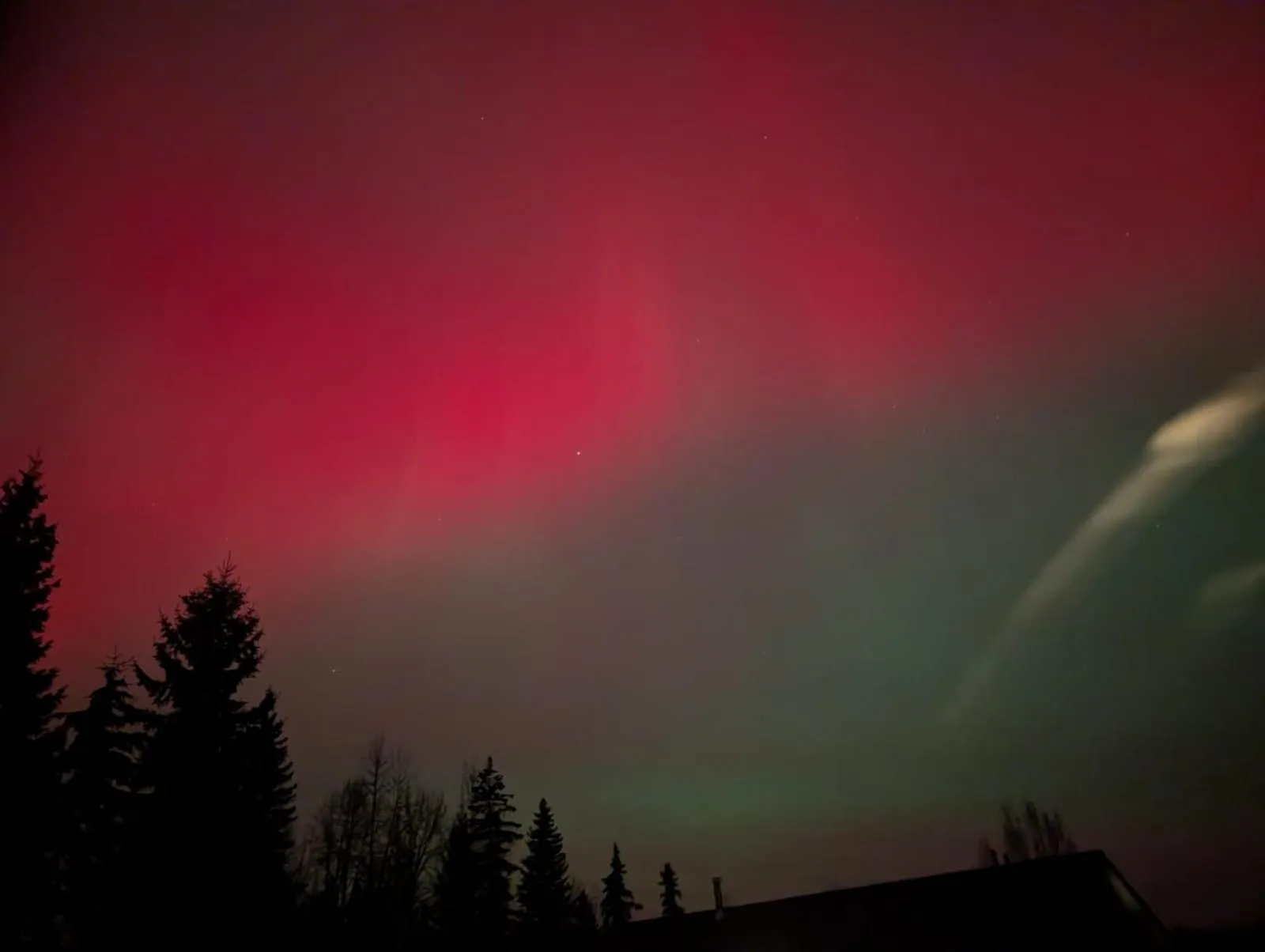 Natural landscape in Nakiska Bear Ranch
