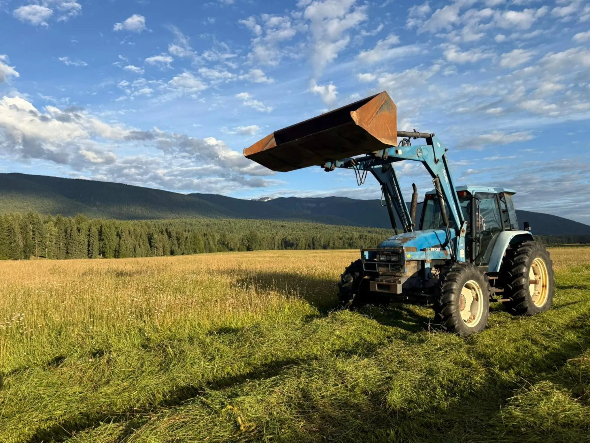 View (from property/room) in Nakiska Bear Ranch