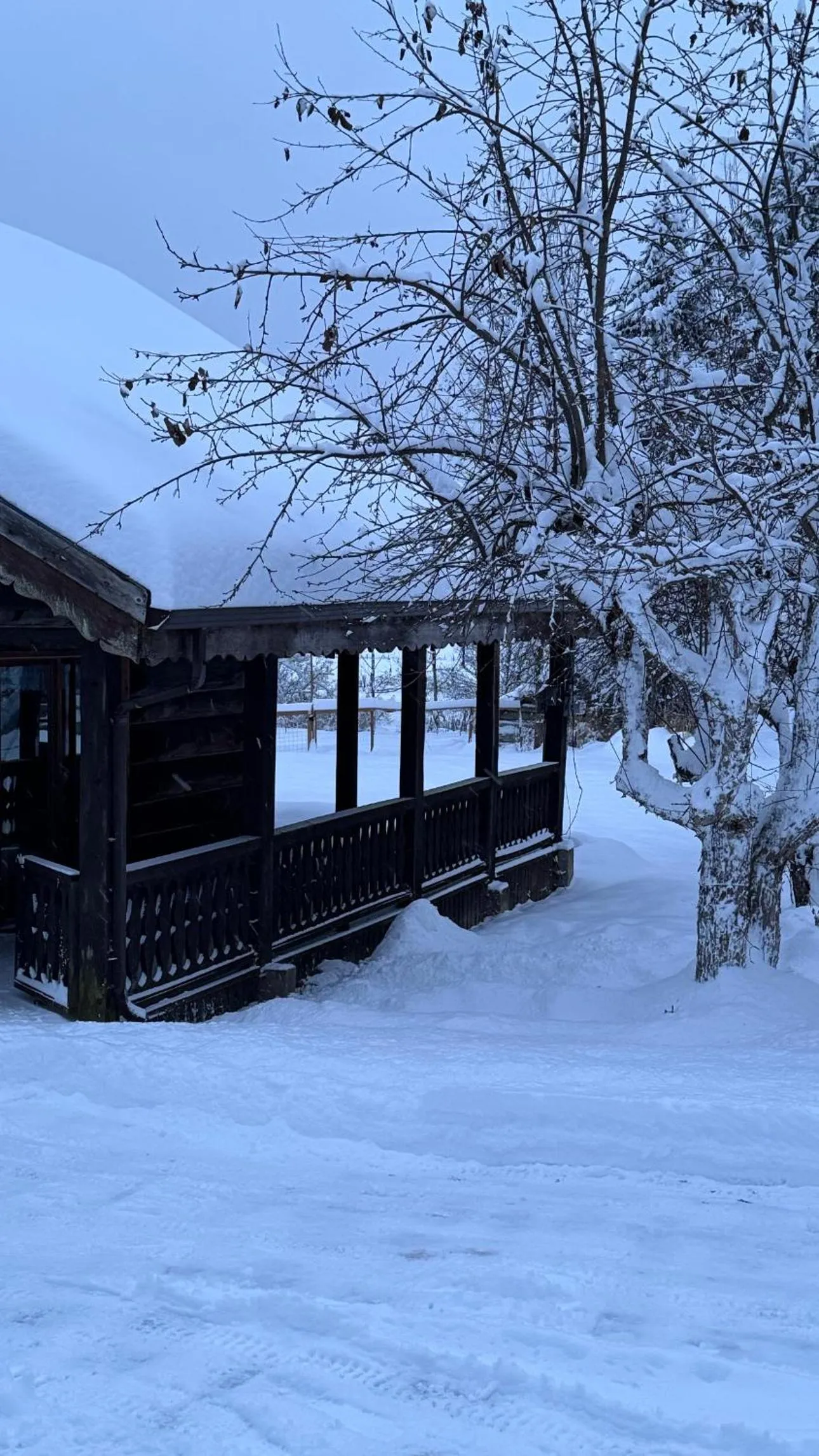 Winter in Nakiska Bear Ranch