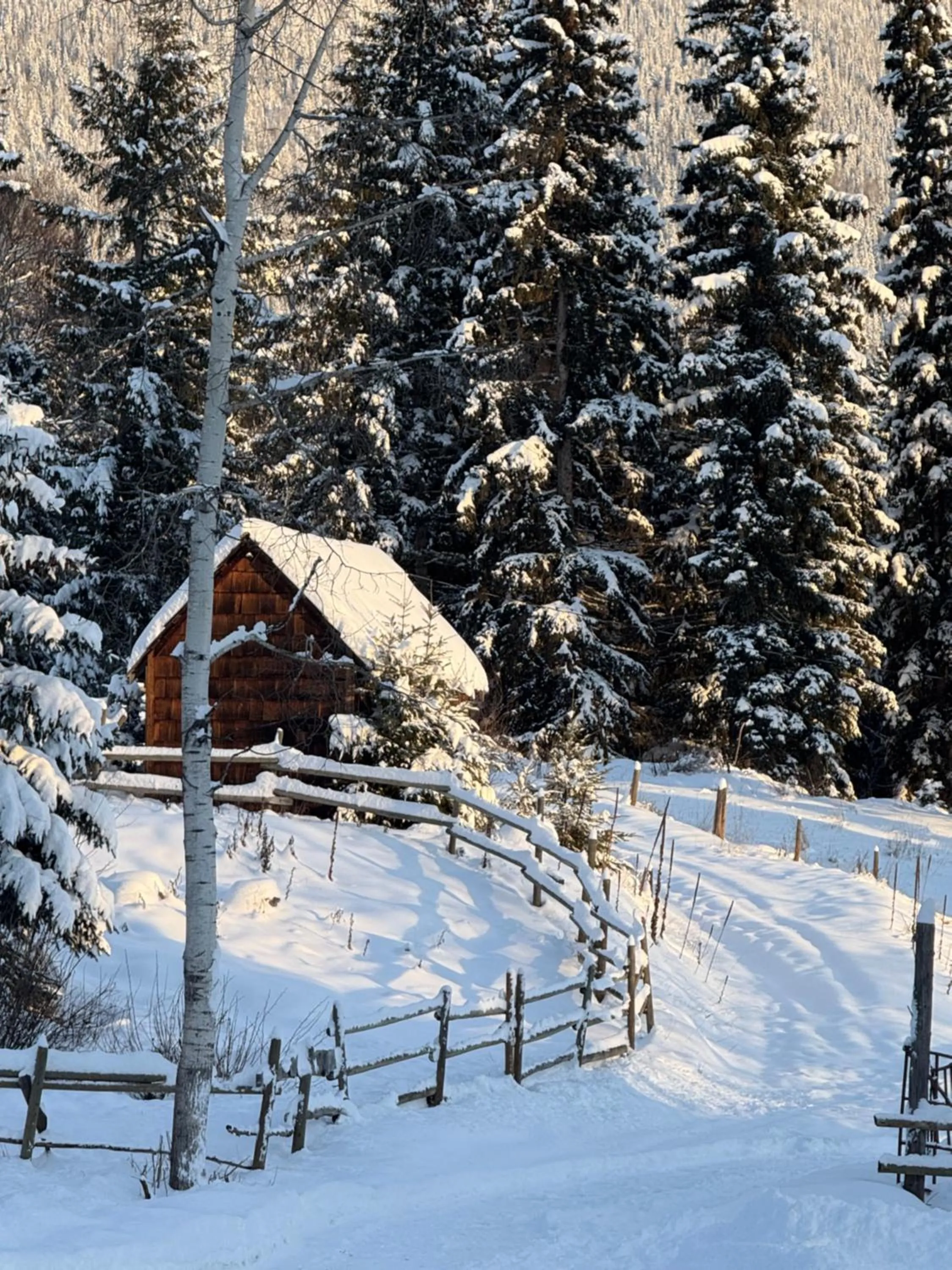 Natural landscape in Nakiska Bear Ranch