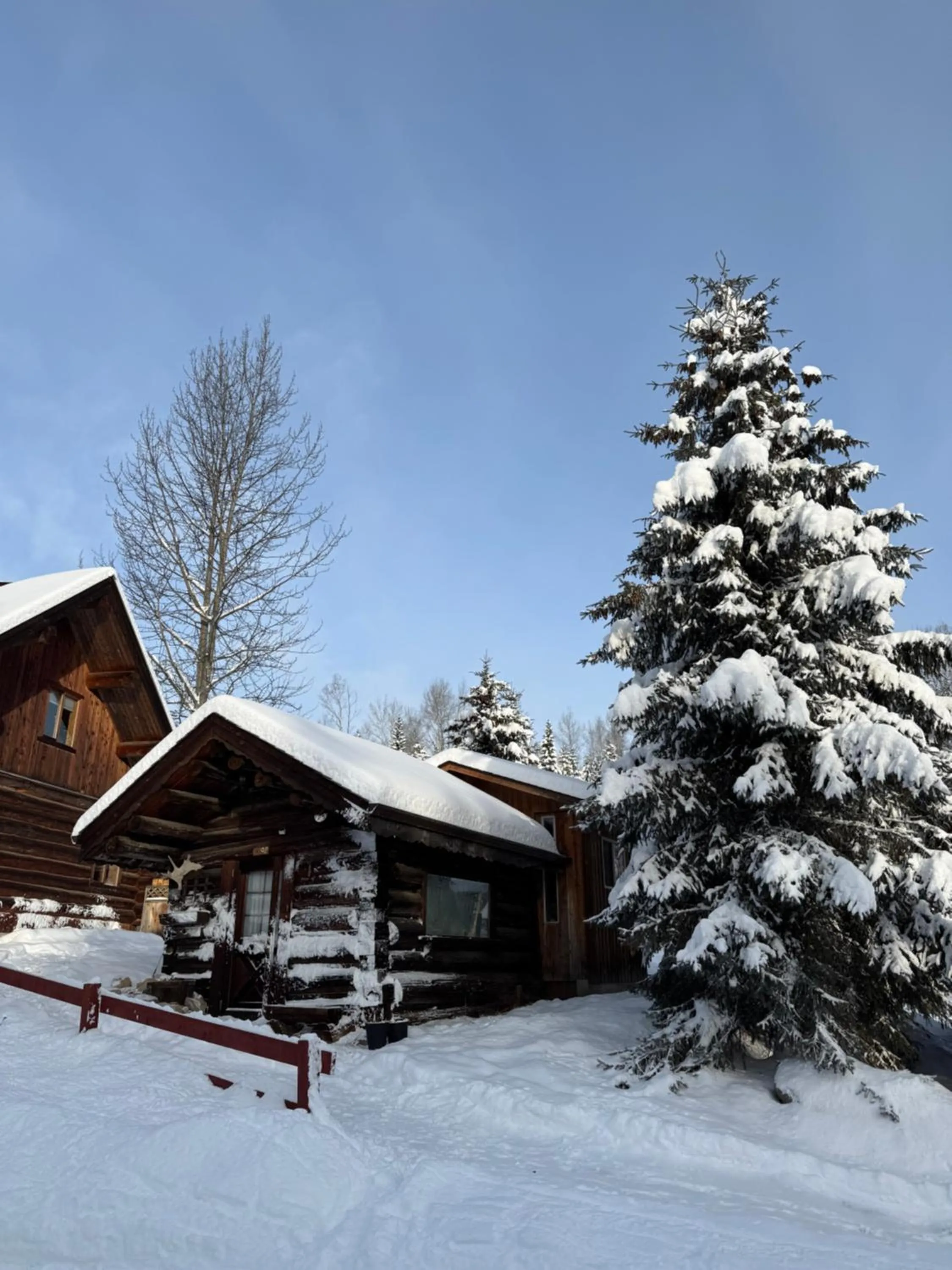 Property building in Nakiska Bear Ranch