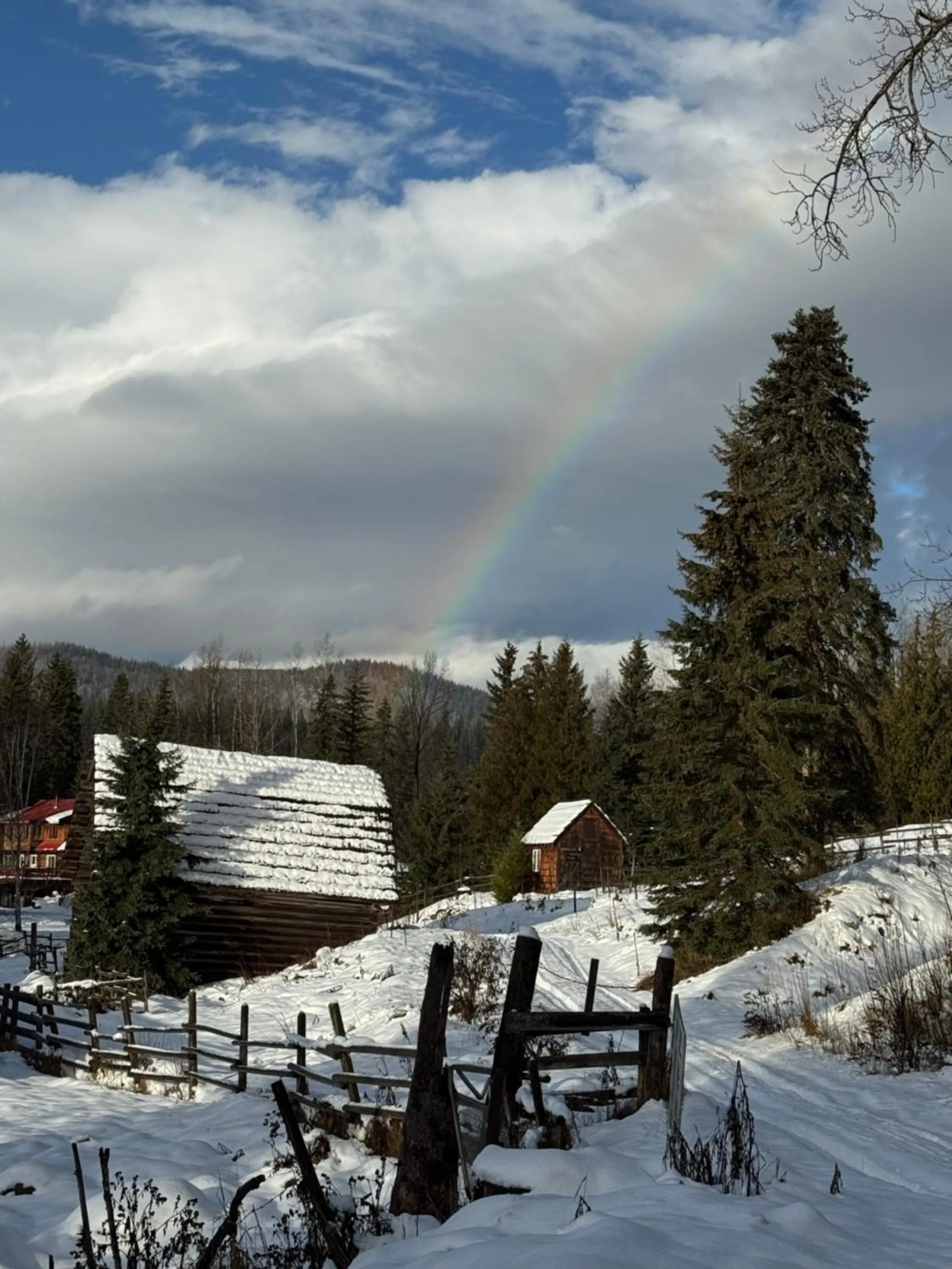 Winter in Nakiska Bear Ranch