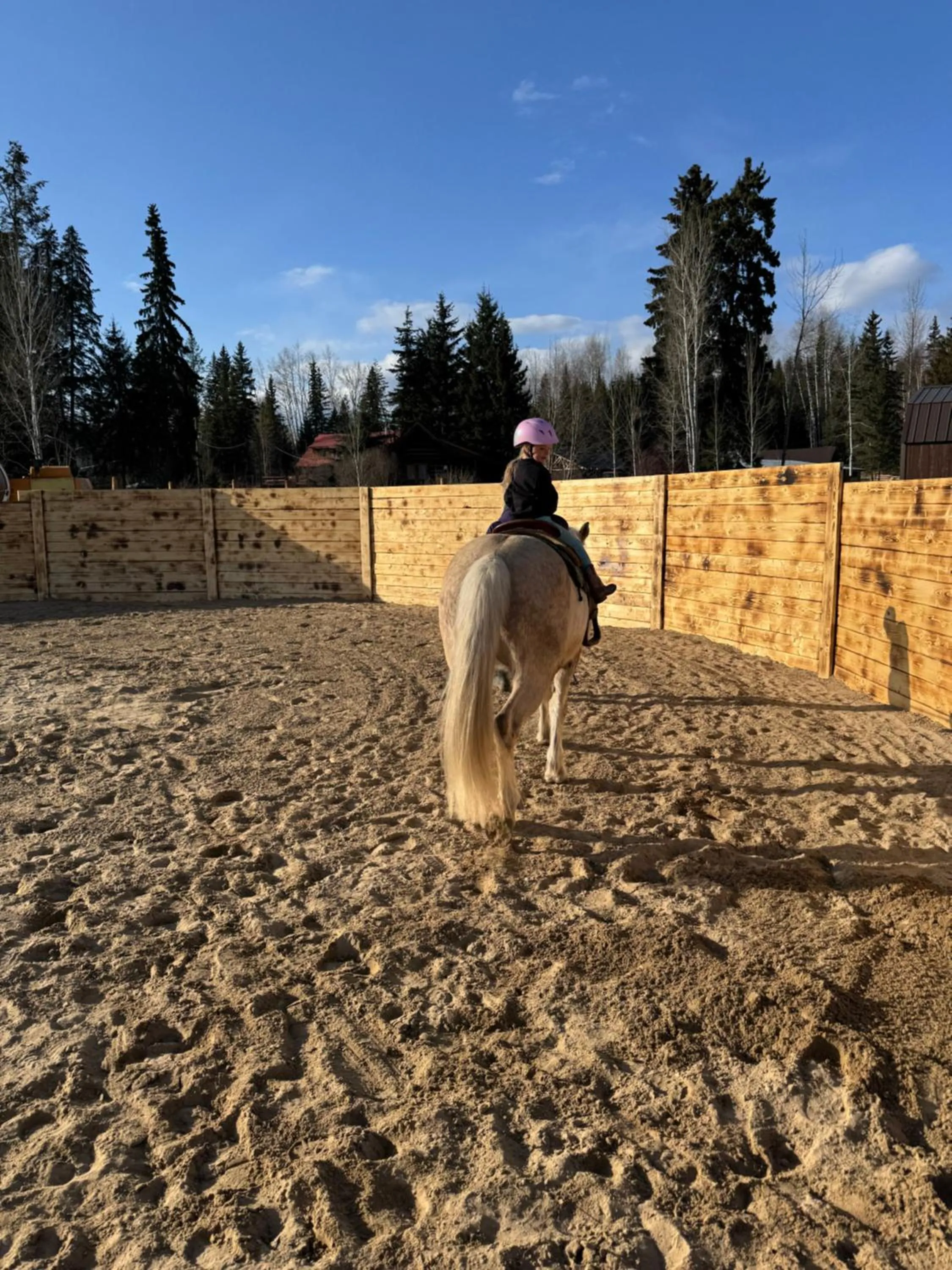 Property building in Nakiska Bear Ranch