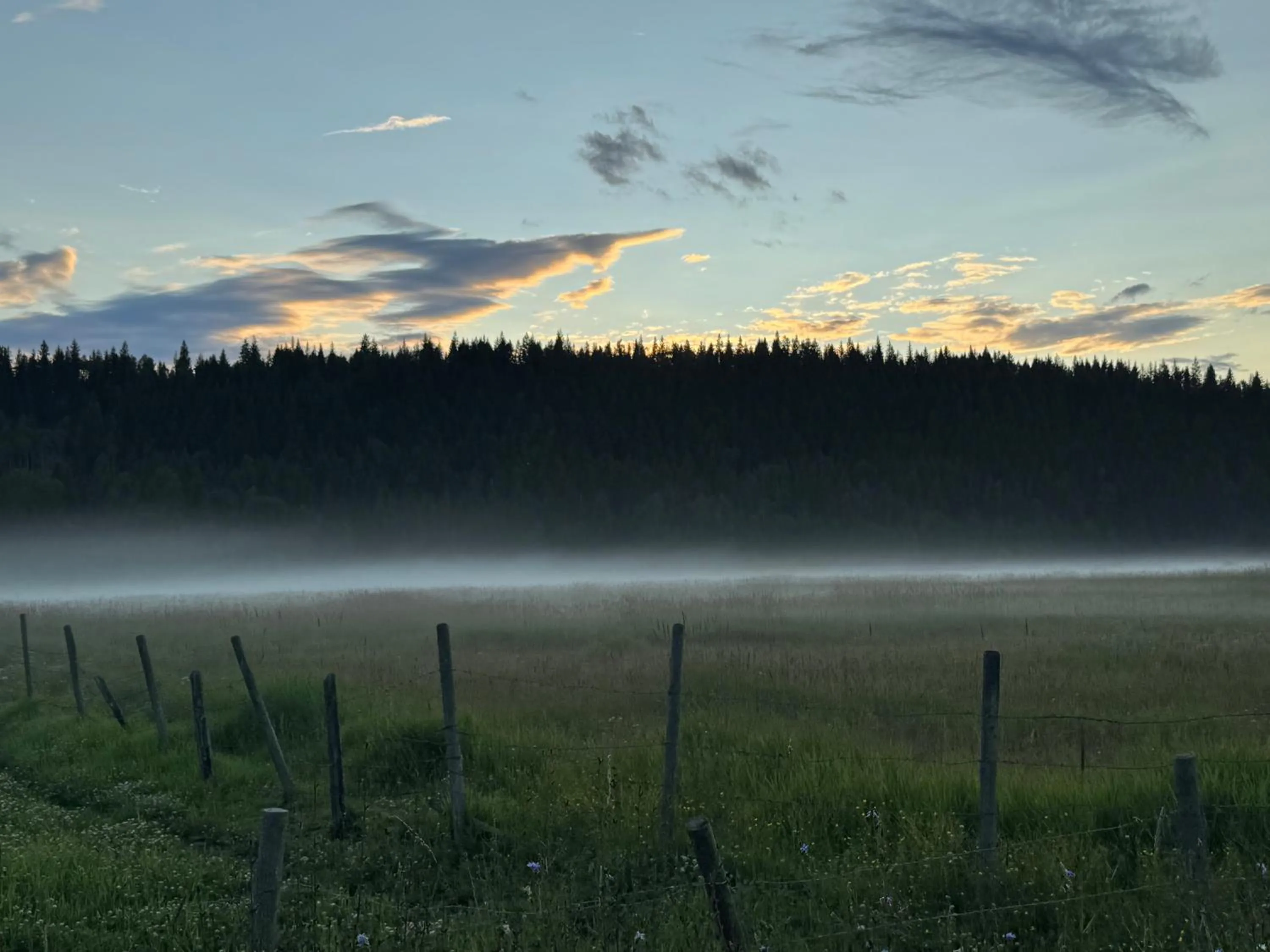 View (from property/room) in Nakiska Bear Ranch