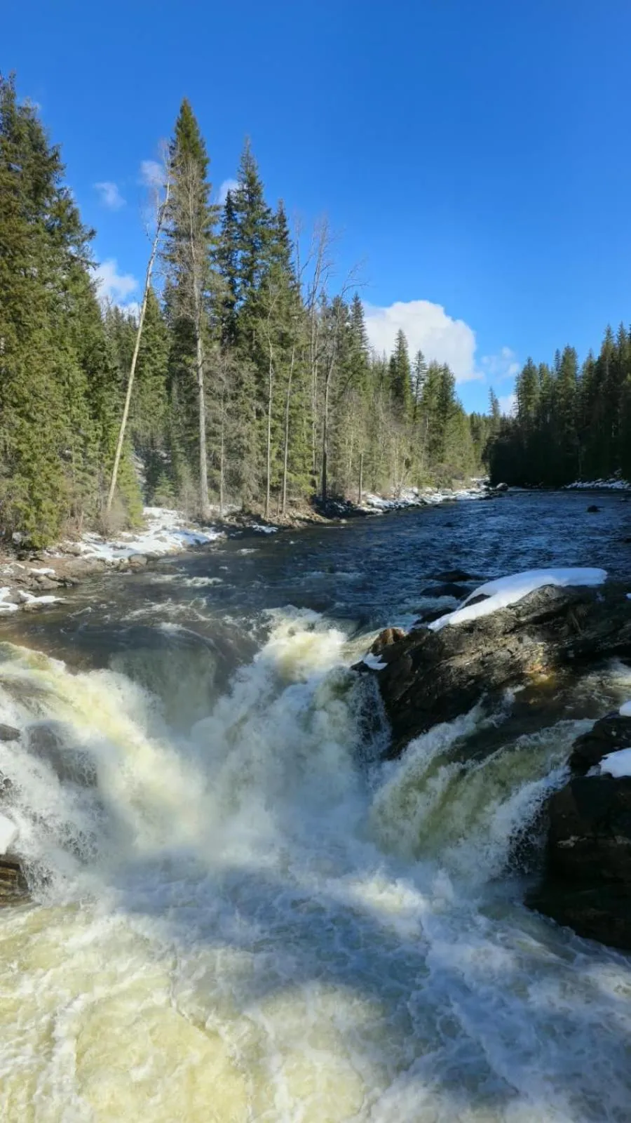 Spring in Nakiska Bear Ranch