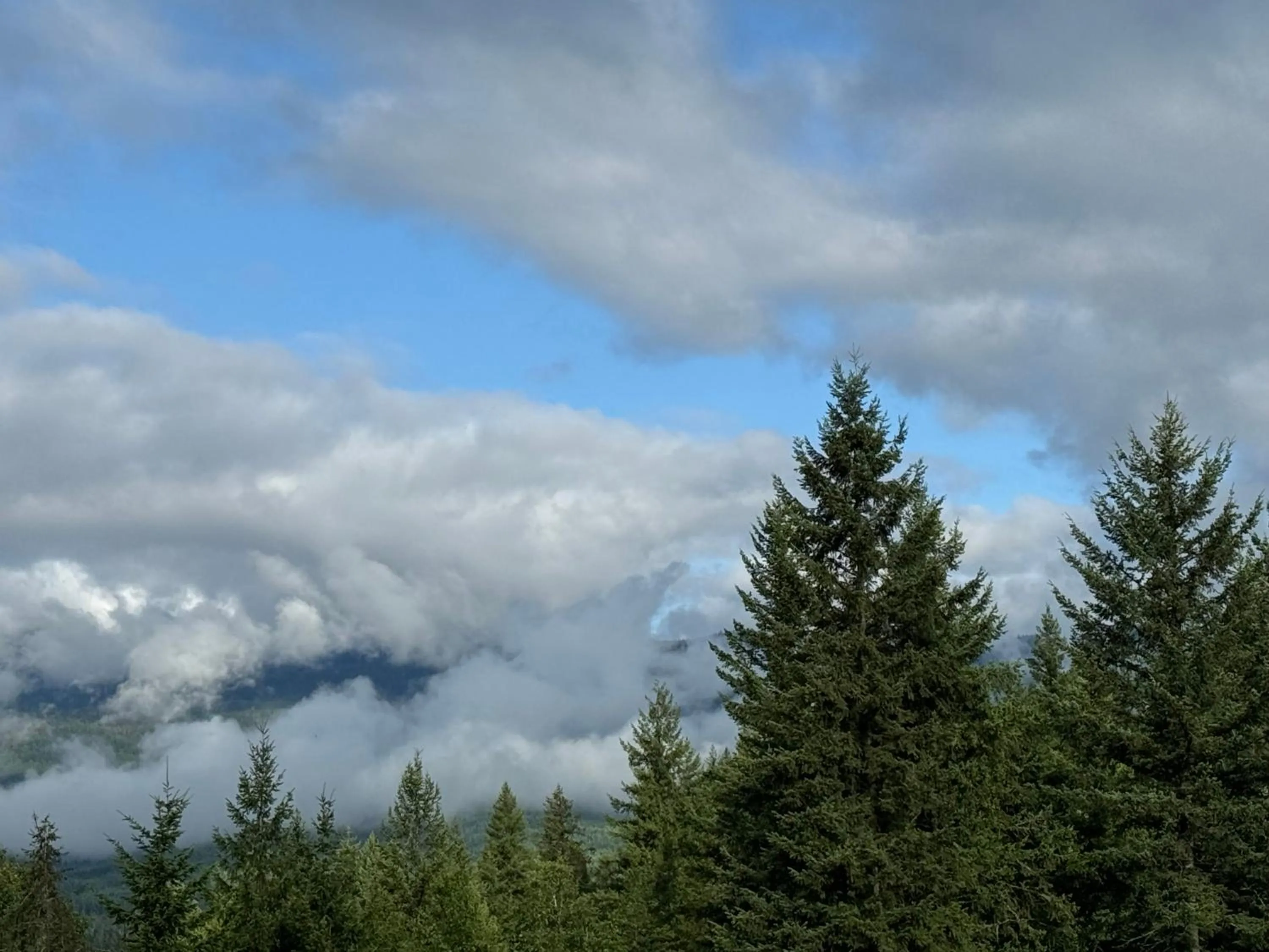 View (from property/room) in Nakiska Bear Ranch