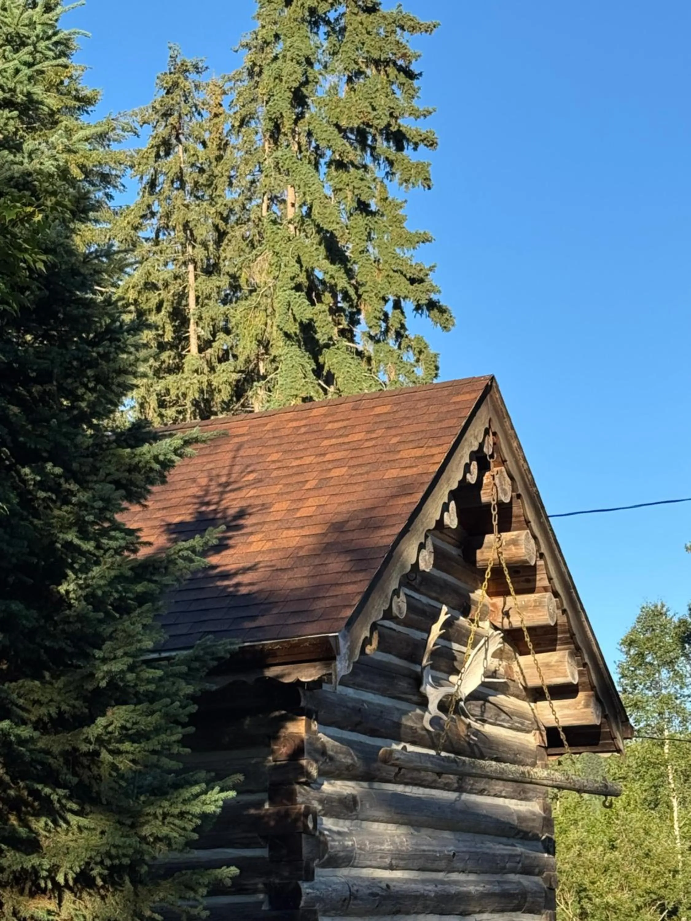 View (from property/room) in Nakiska Bear Ranch