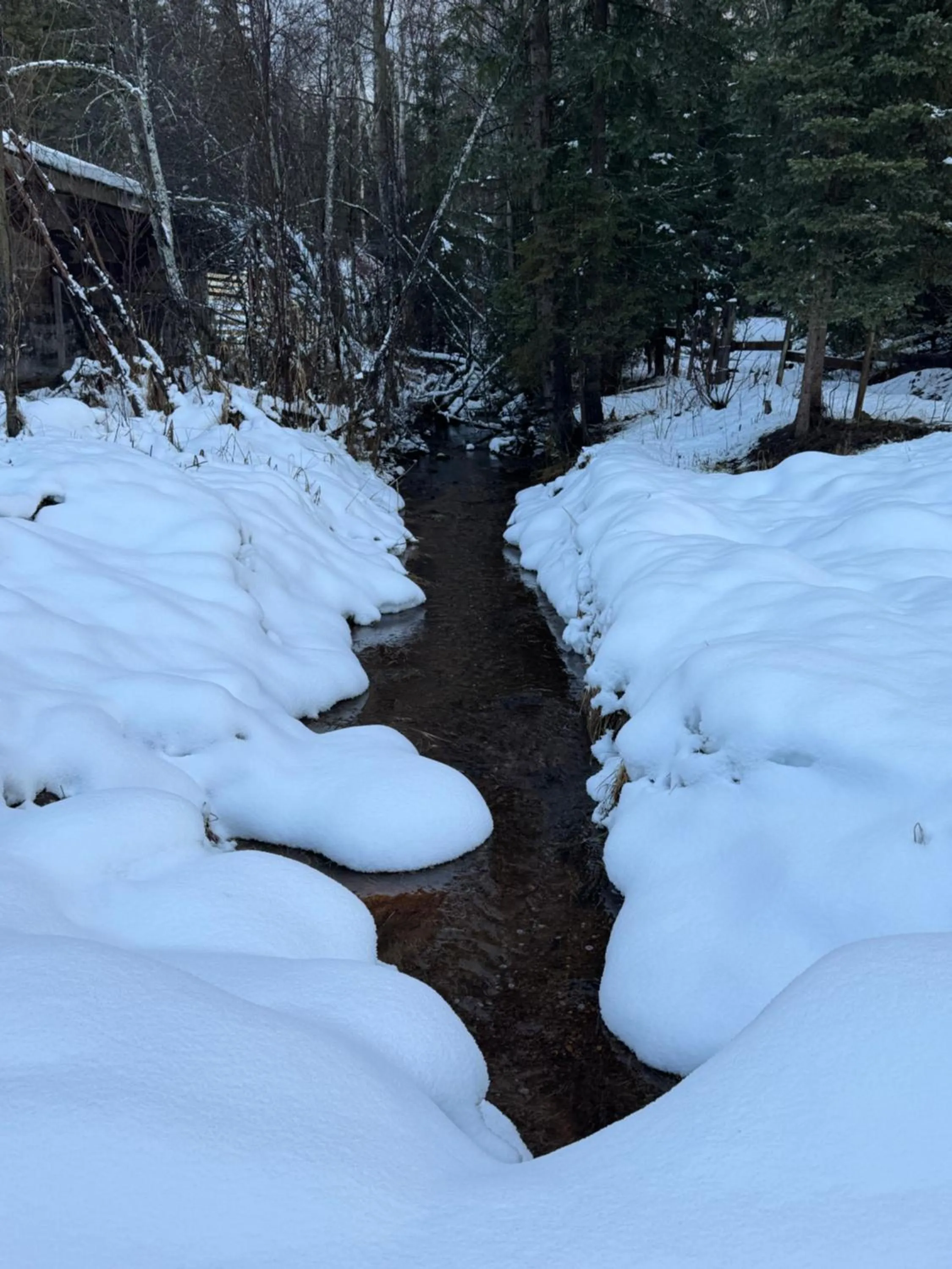 Winter in Nakiska Bear Ranch