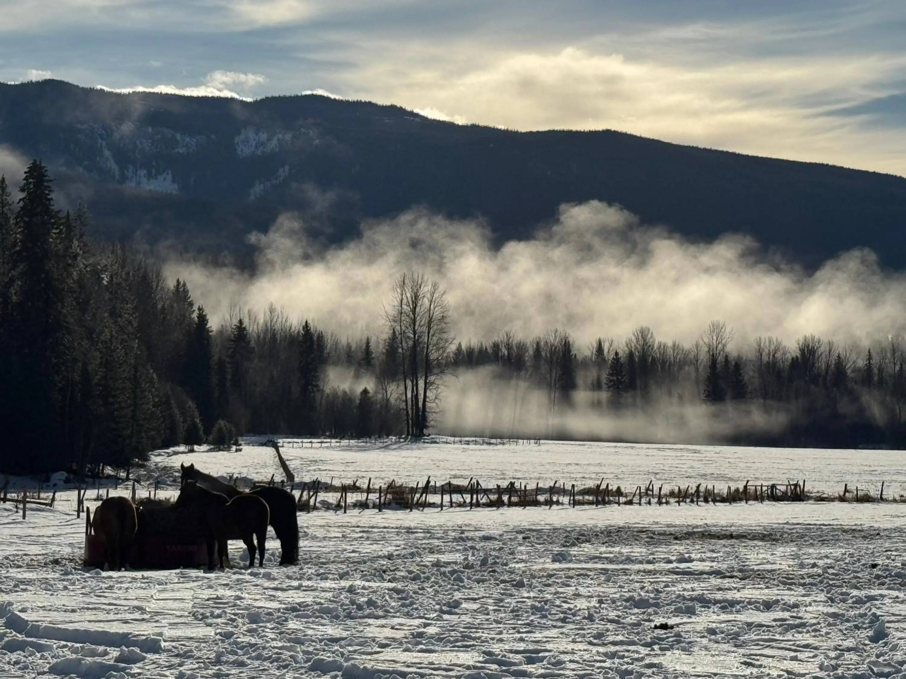 Nearby landmark in Nakiska Bear Ranch