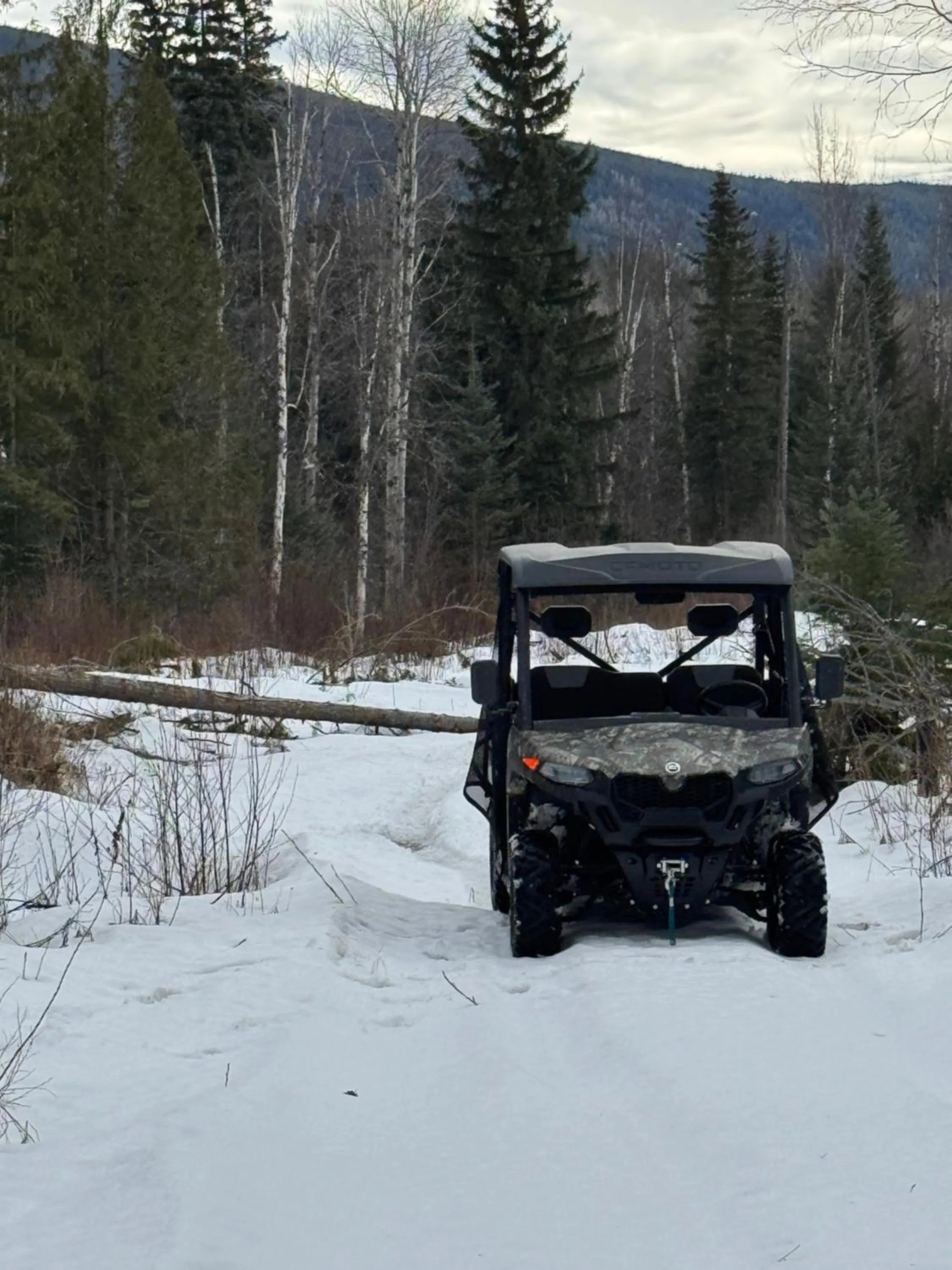 Winter in Nakiska Bear Ranch