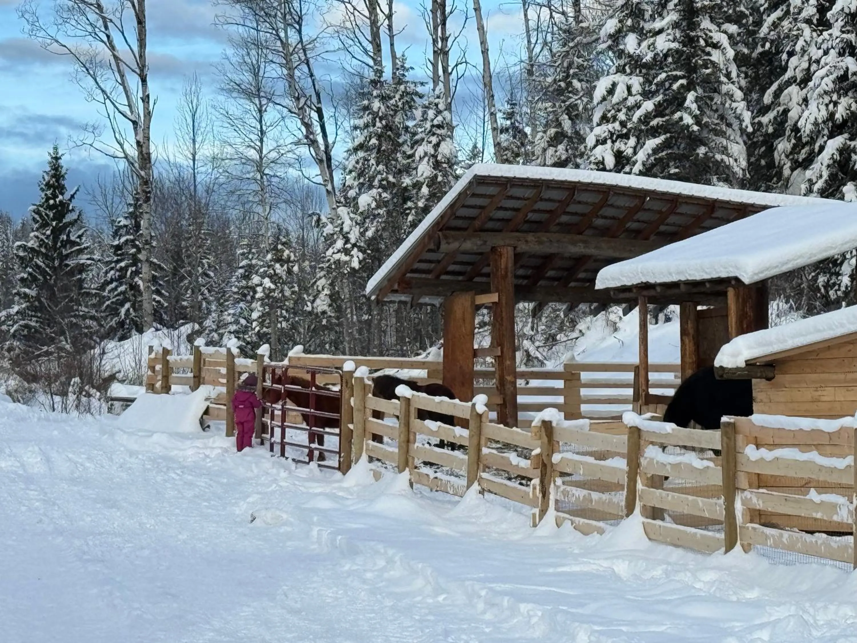 Winter in Nakiska Bear Ranch