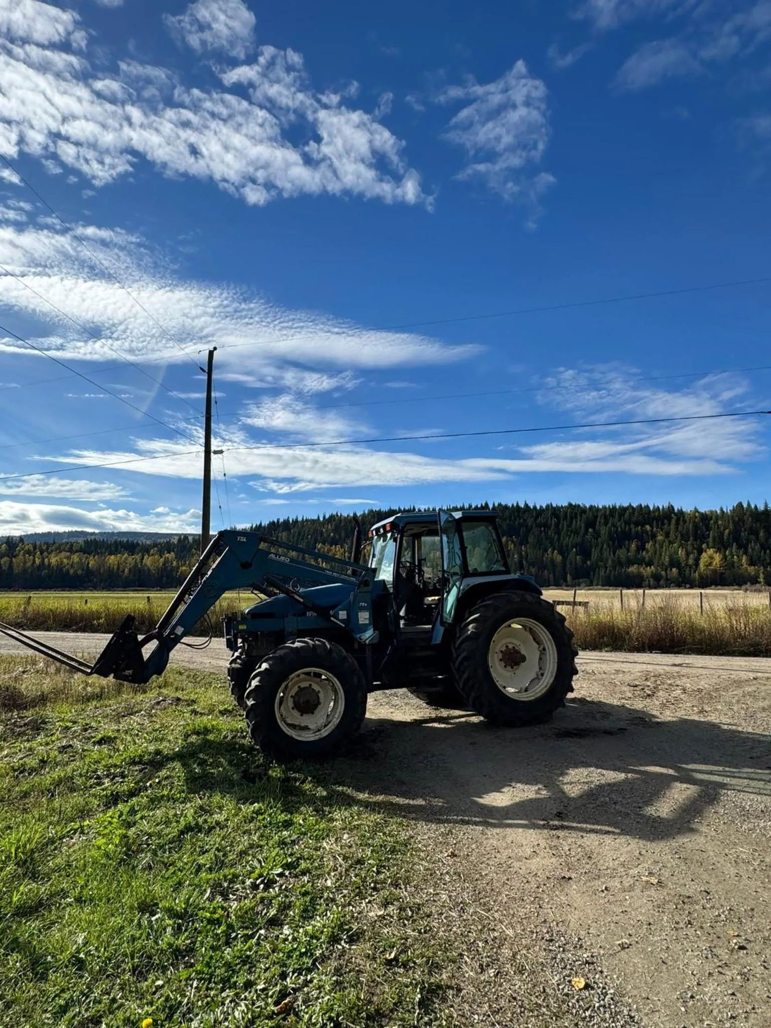 View (from property/room) in Nakiska Bear Ranch
