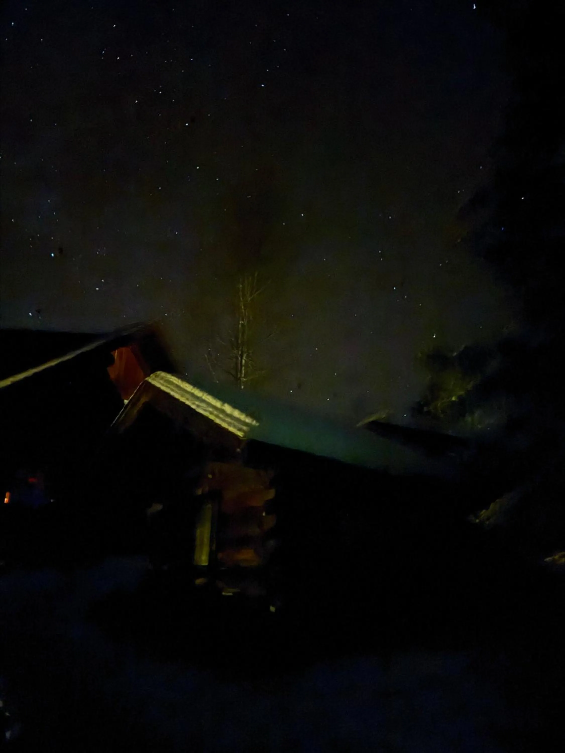 Night in Nakiska Bear Ranch