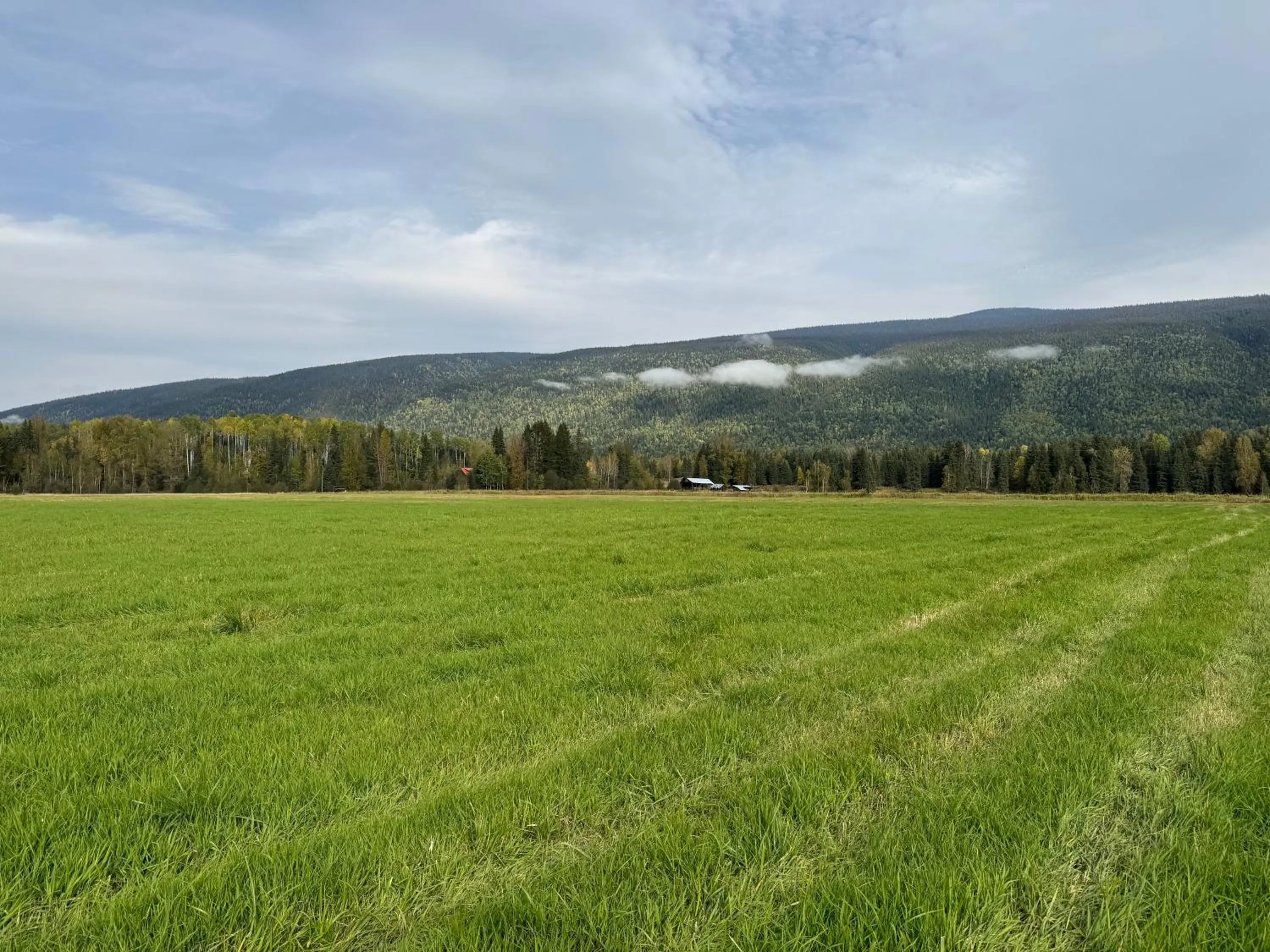 View (from property/room) in Nakiska Bear Ranch