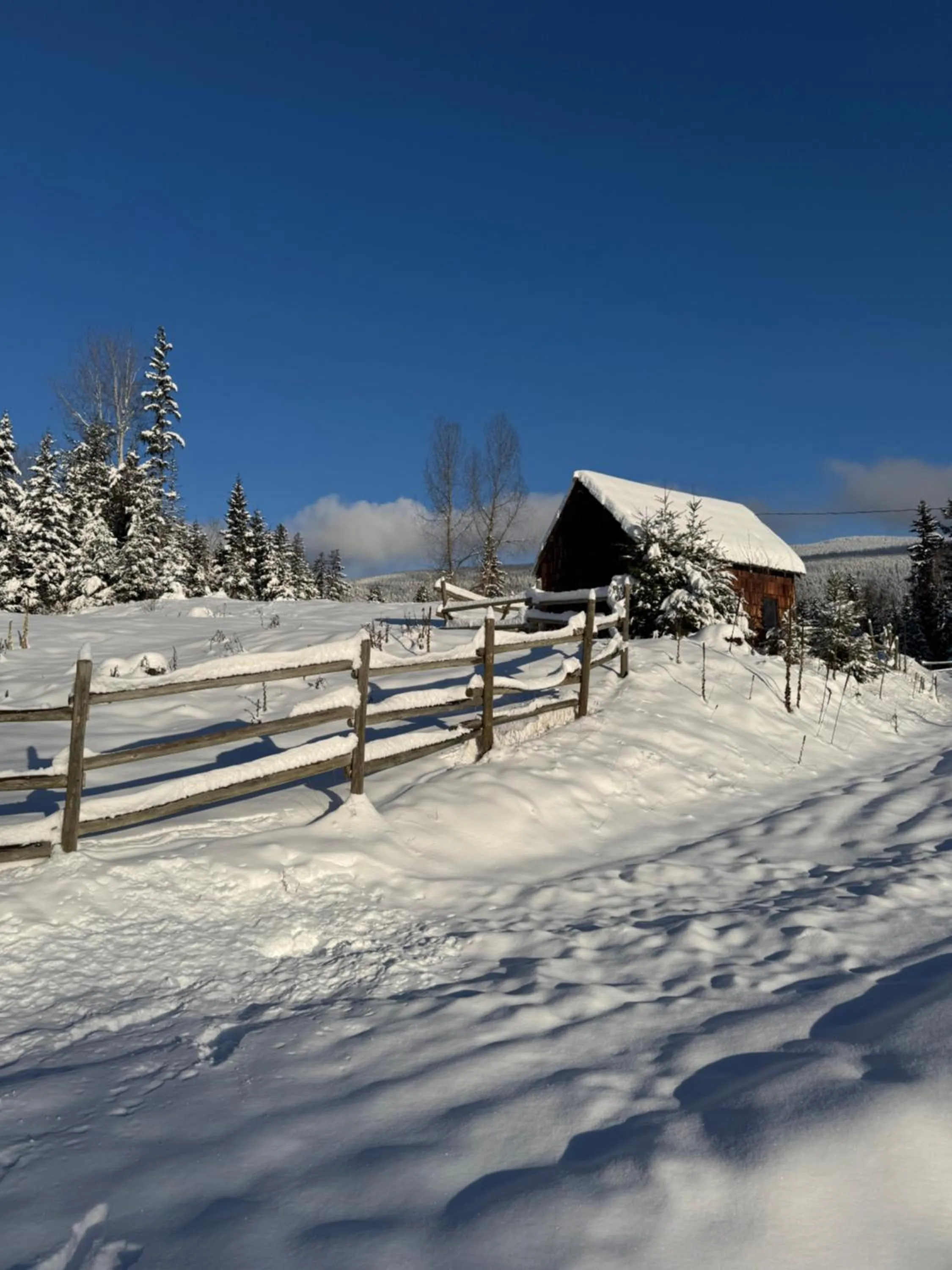 Garden in Nakiska Bear Ranch