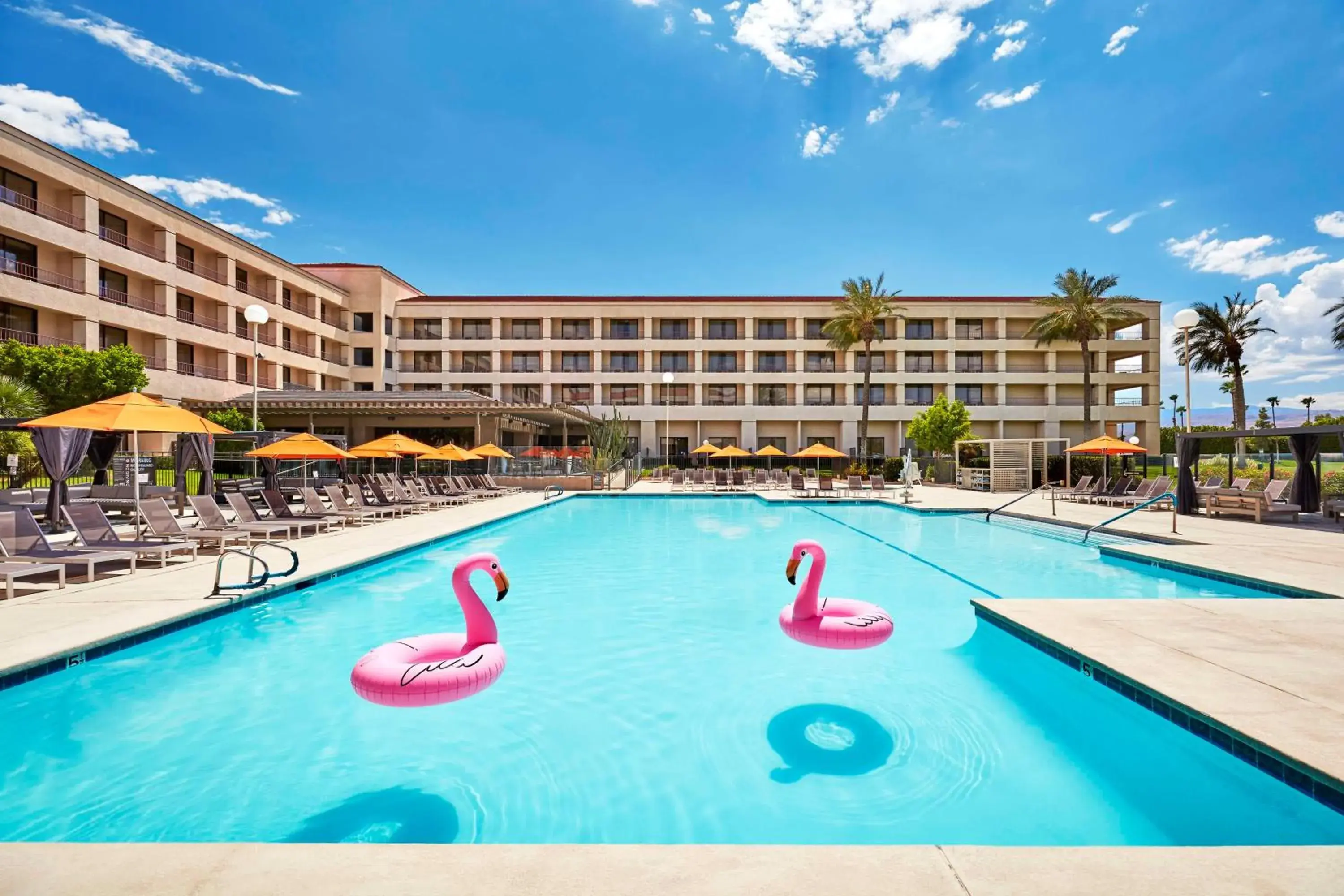 Pool view in DoubleTree by Hilton Golf Resort Palm Springs Pool view in DoubleTree by Hilton Golf Resort Palm Springs