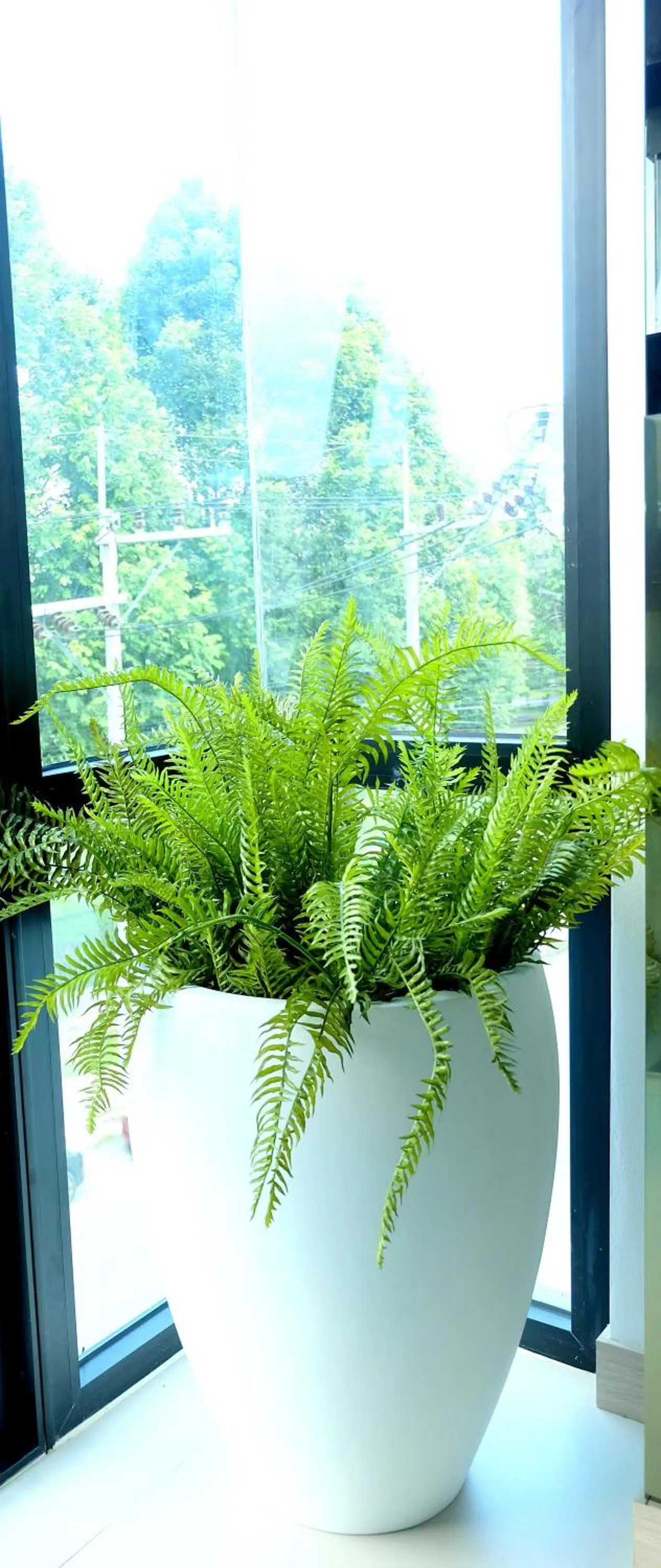 Montana Hotel Songkhla