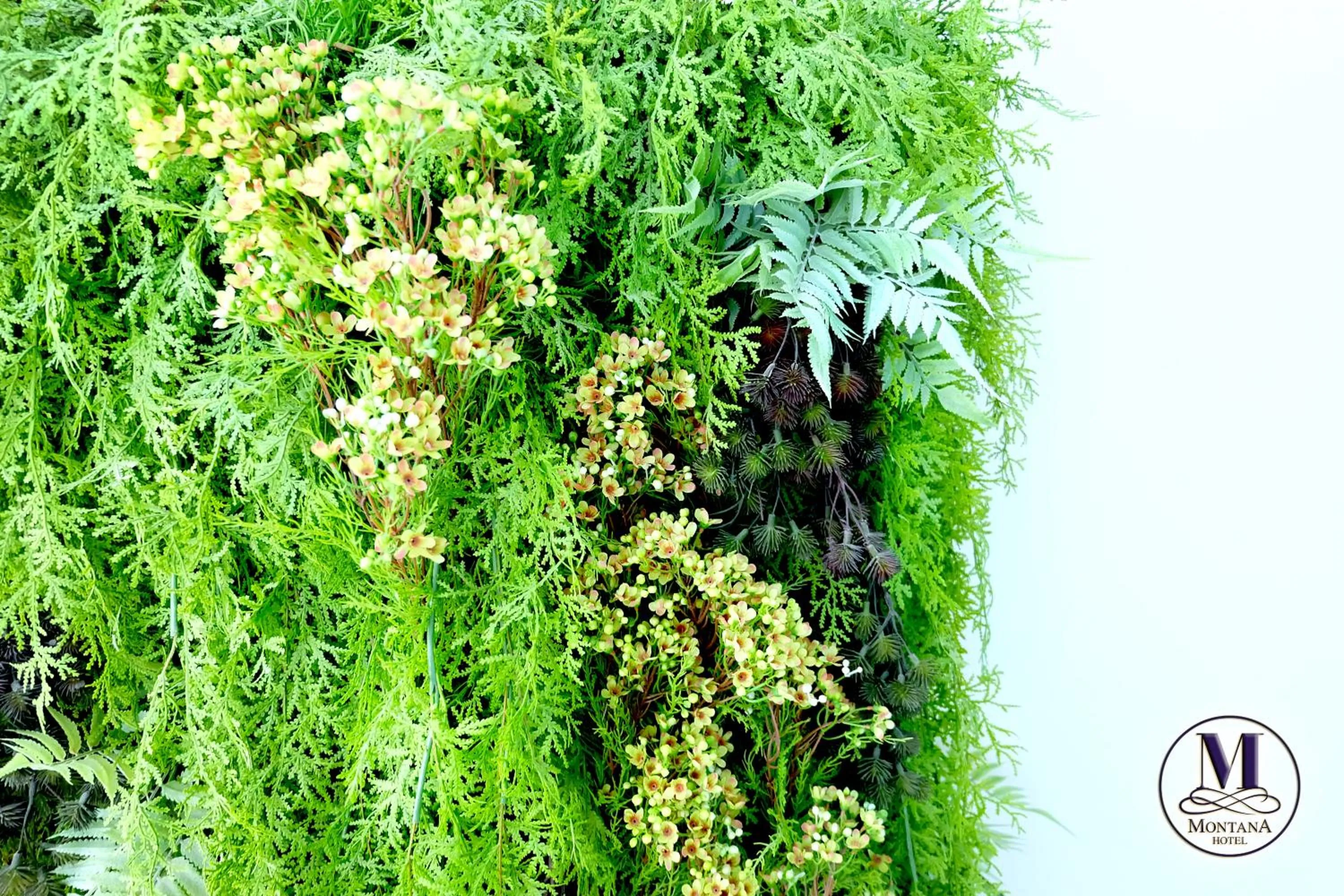 Montana Hotel Songkhla