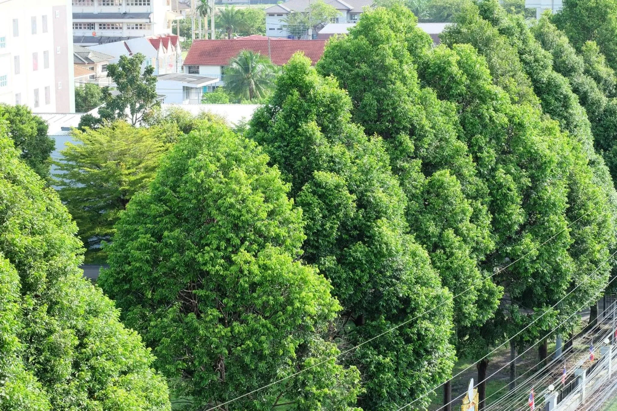 Montana Hotel Songkhla