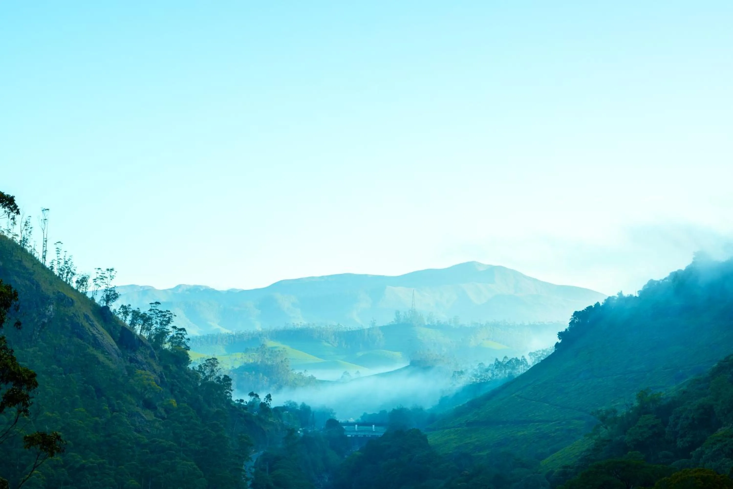 Natural landscape in HillView Munnar