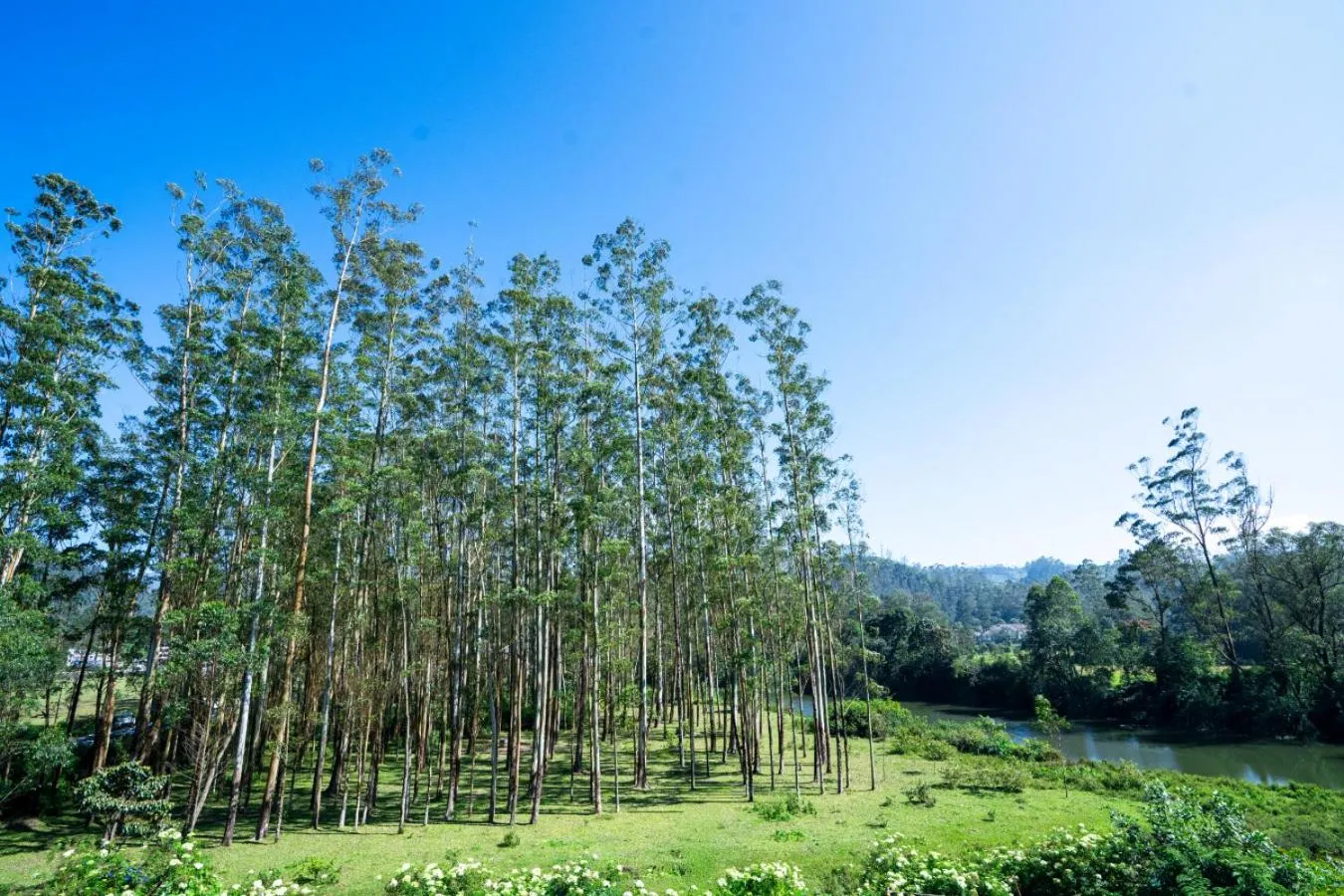 Lake view in HillView Munnar