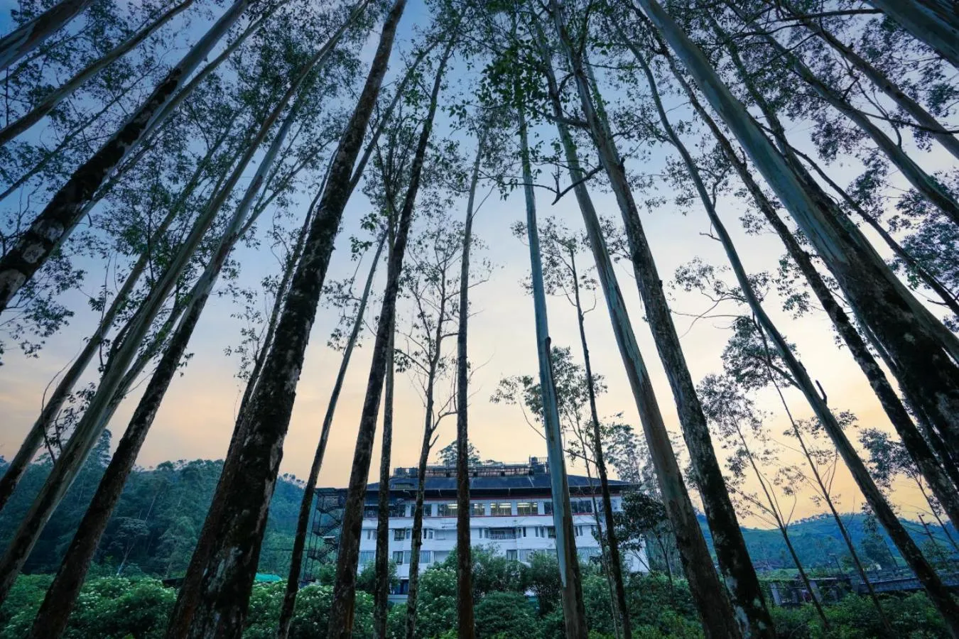 Natural landscape in HillView Munnar