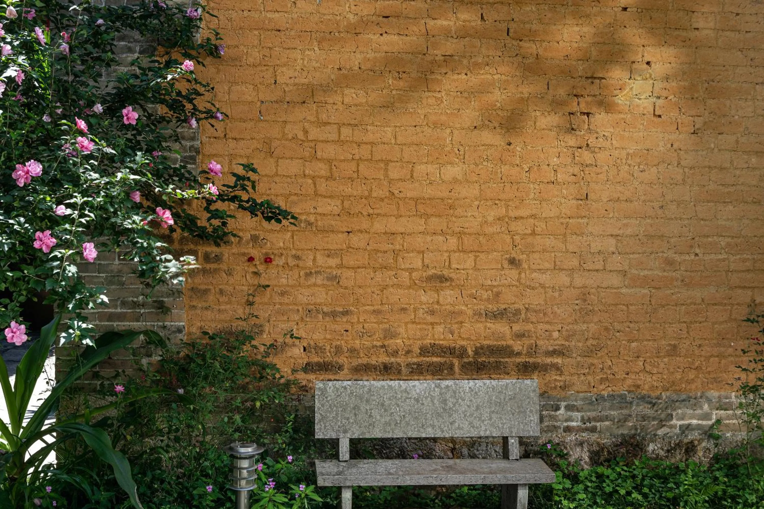 Garden in Yangshuo Secret Garden