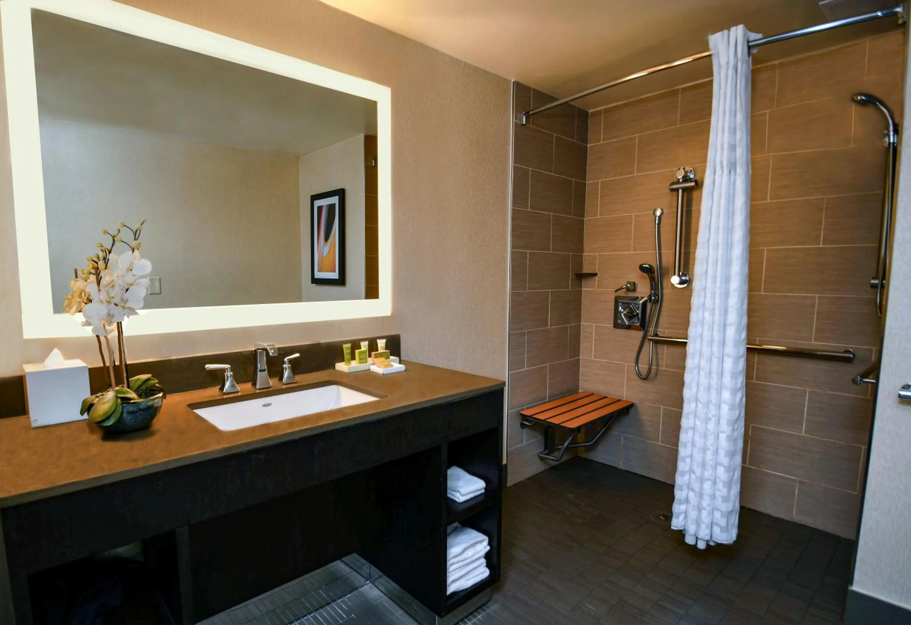 Shower in Hilton Austin