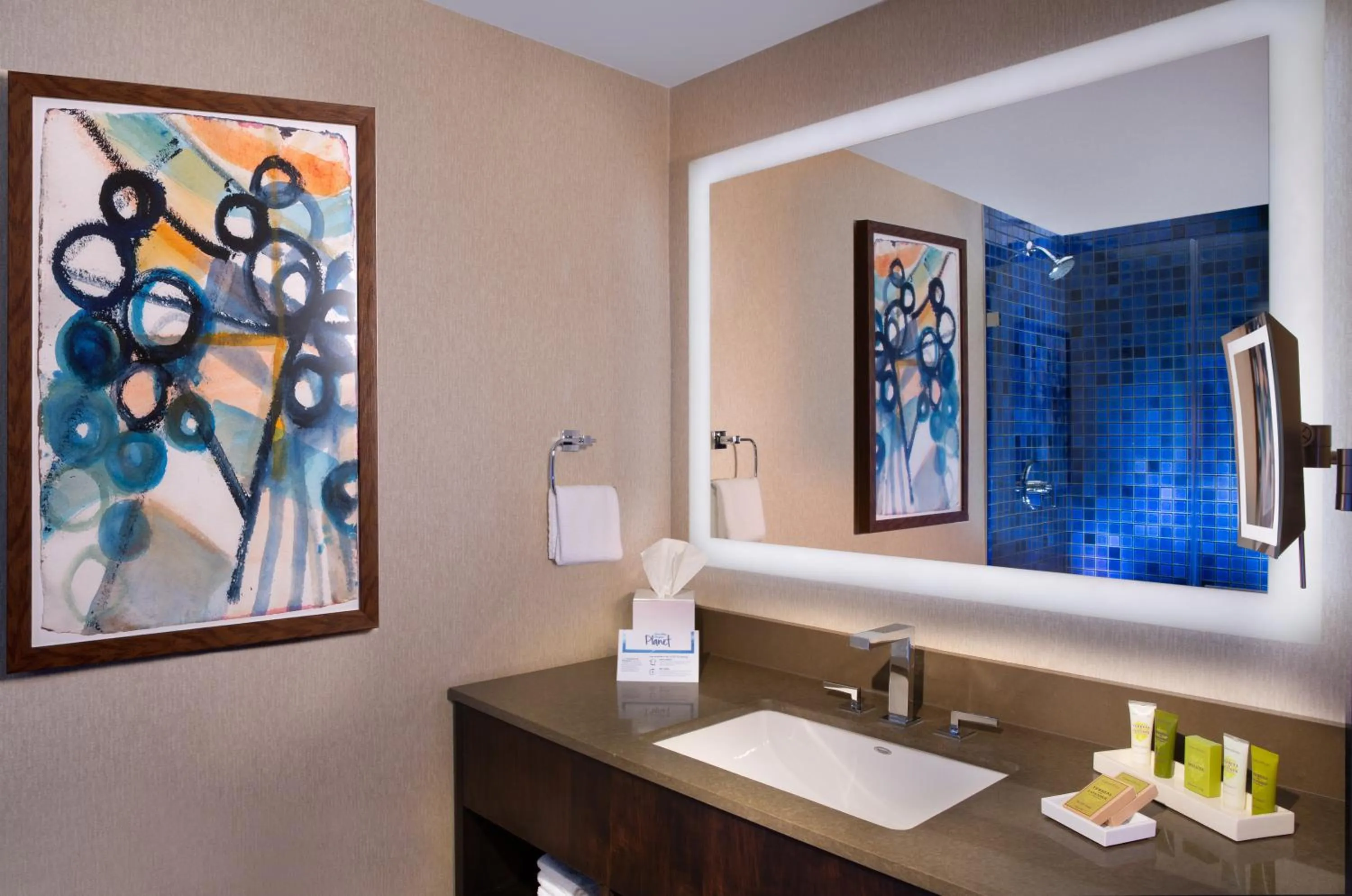 Bathroom in Hilton Austin