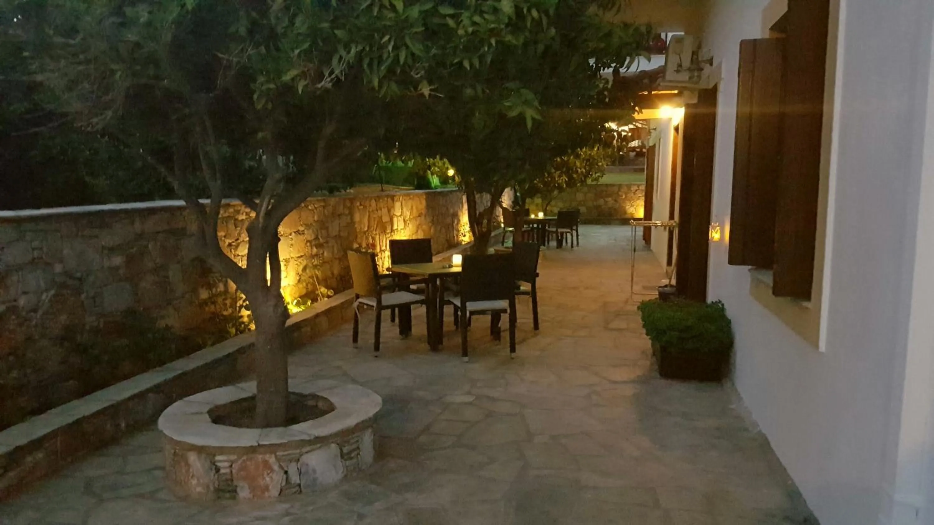 Garden in Melrose