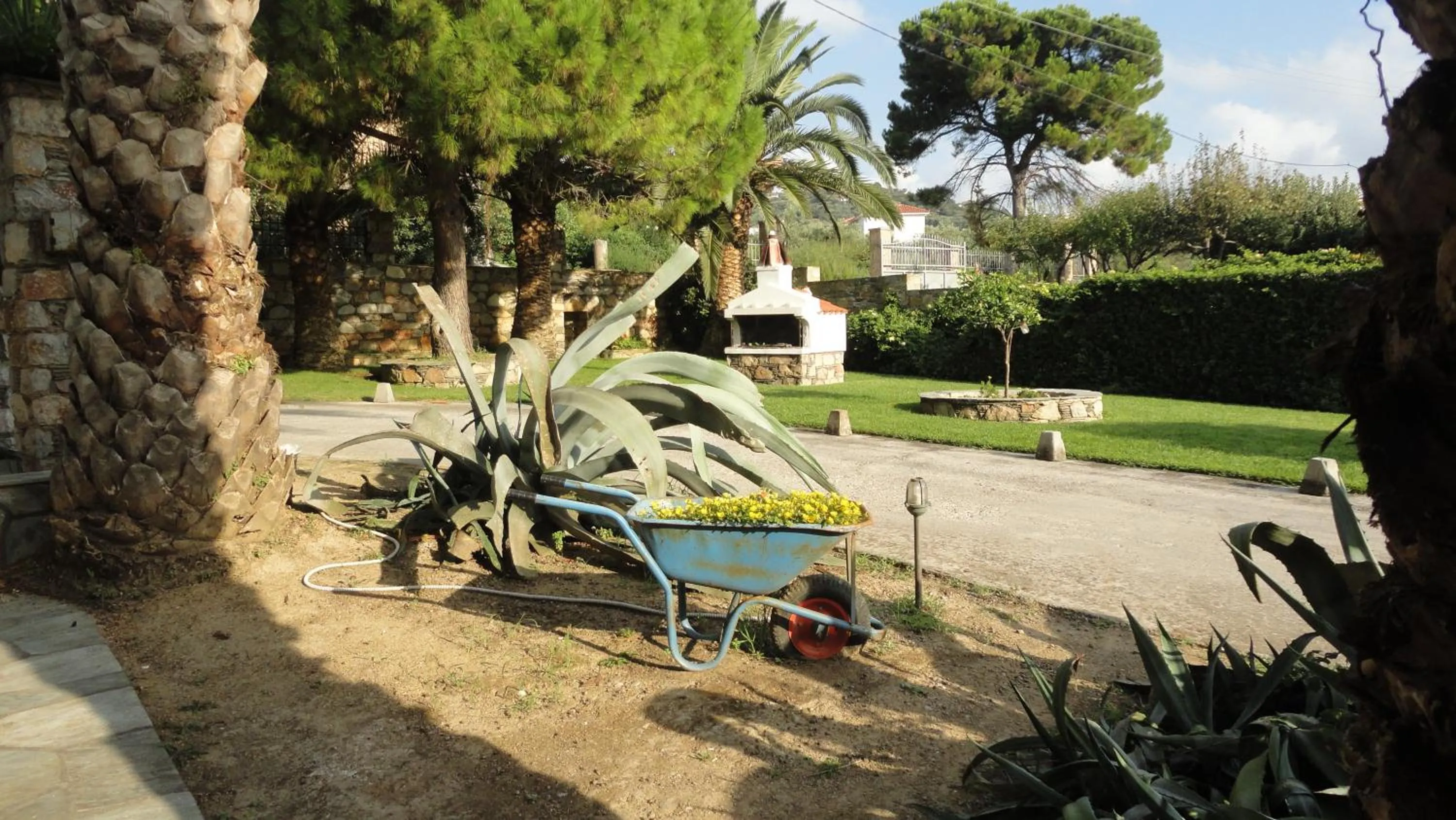 Garden in Melrose