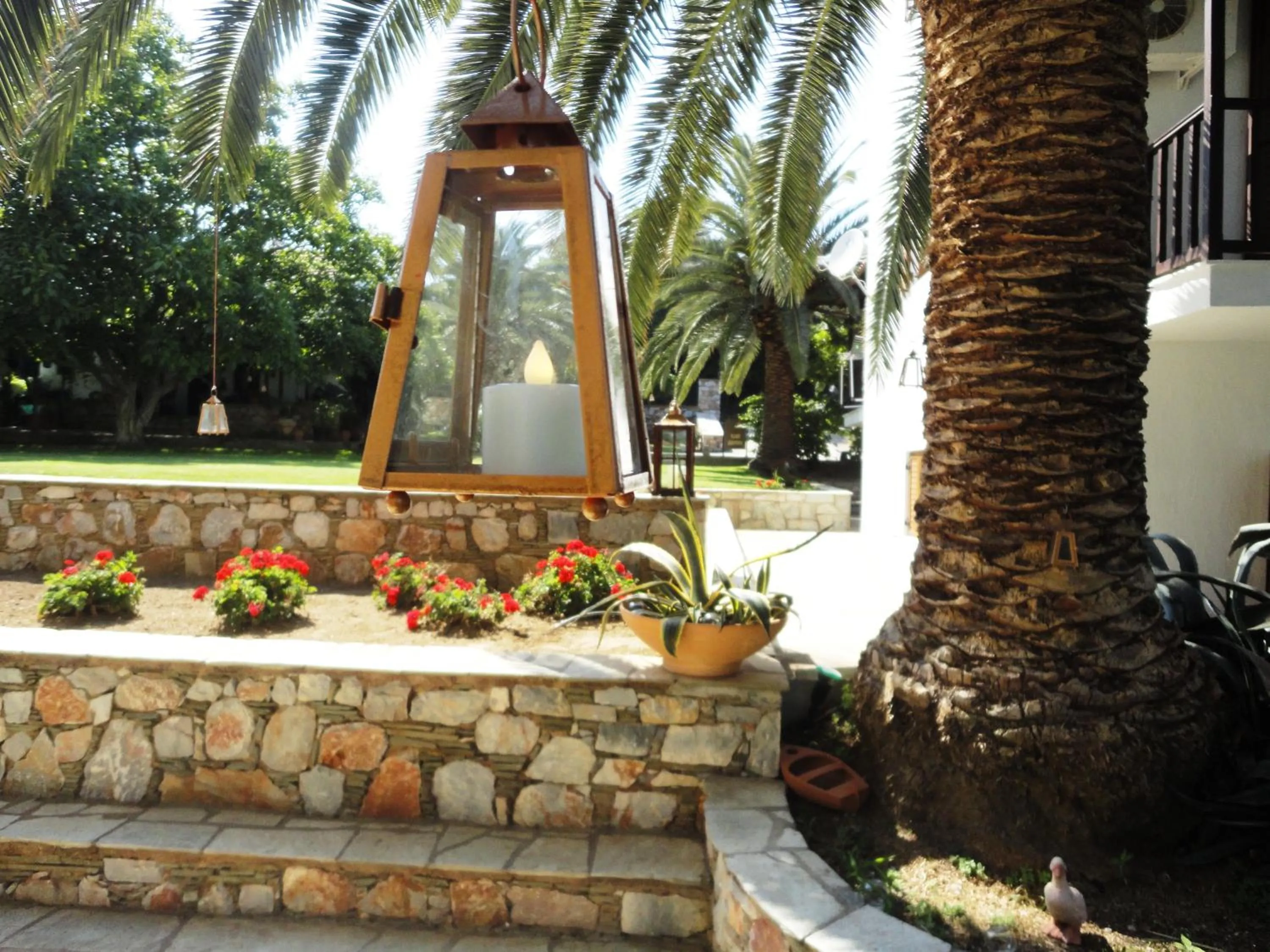 Garden in Melrose