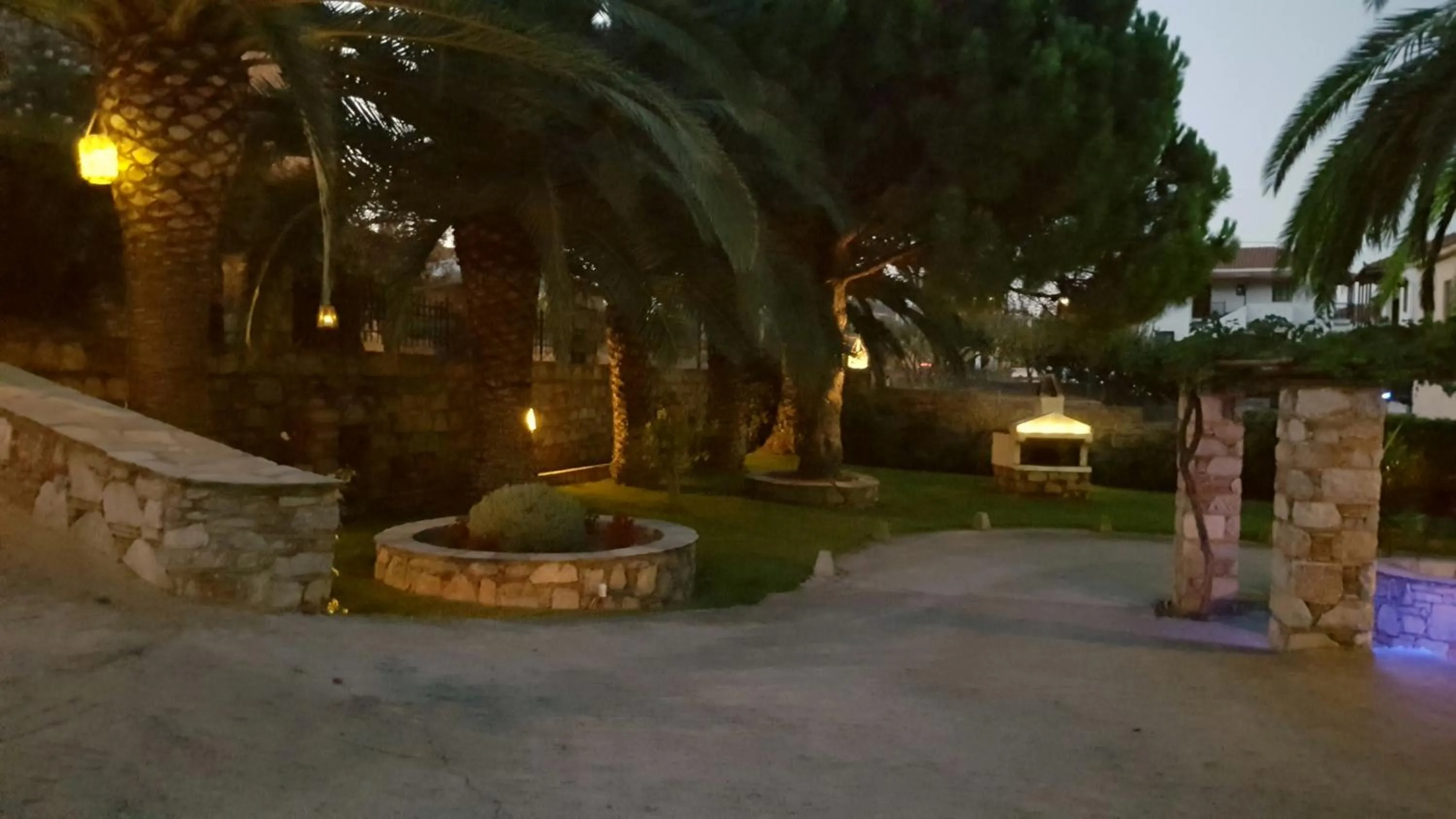Garden in Melrose