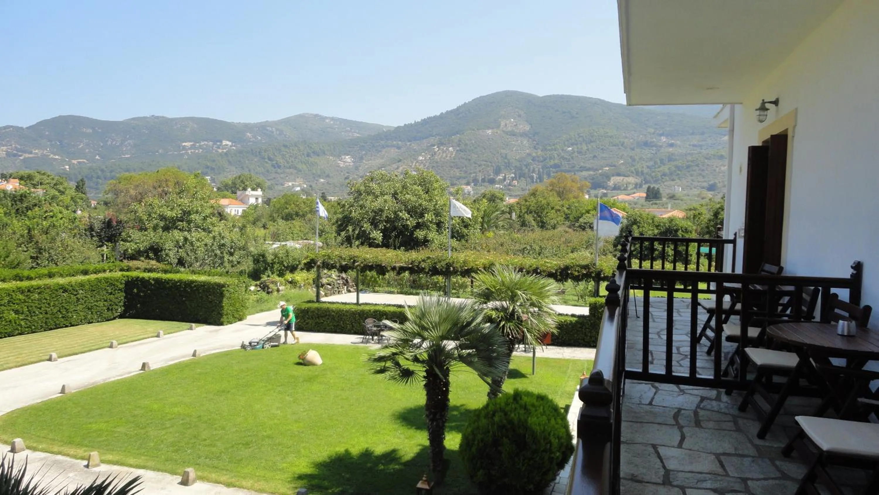 Garden view in Melrose