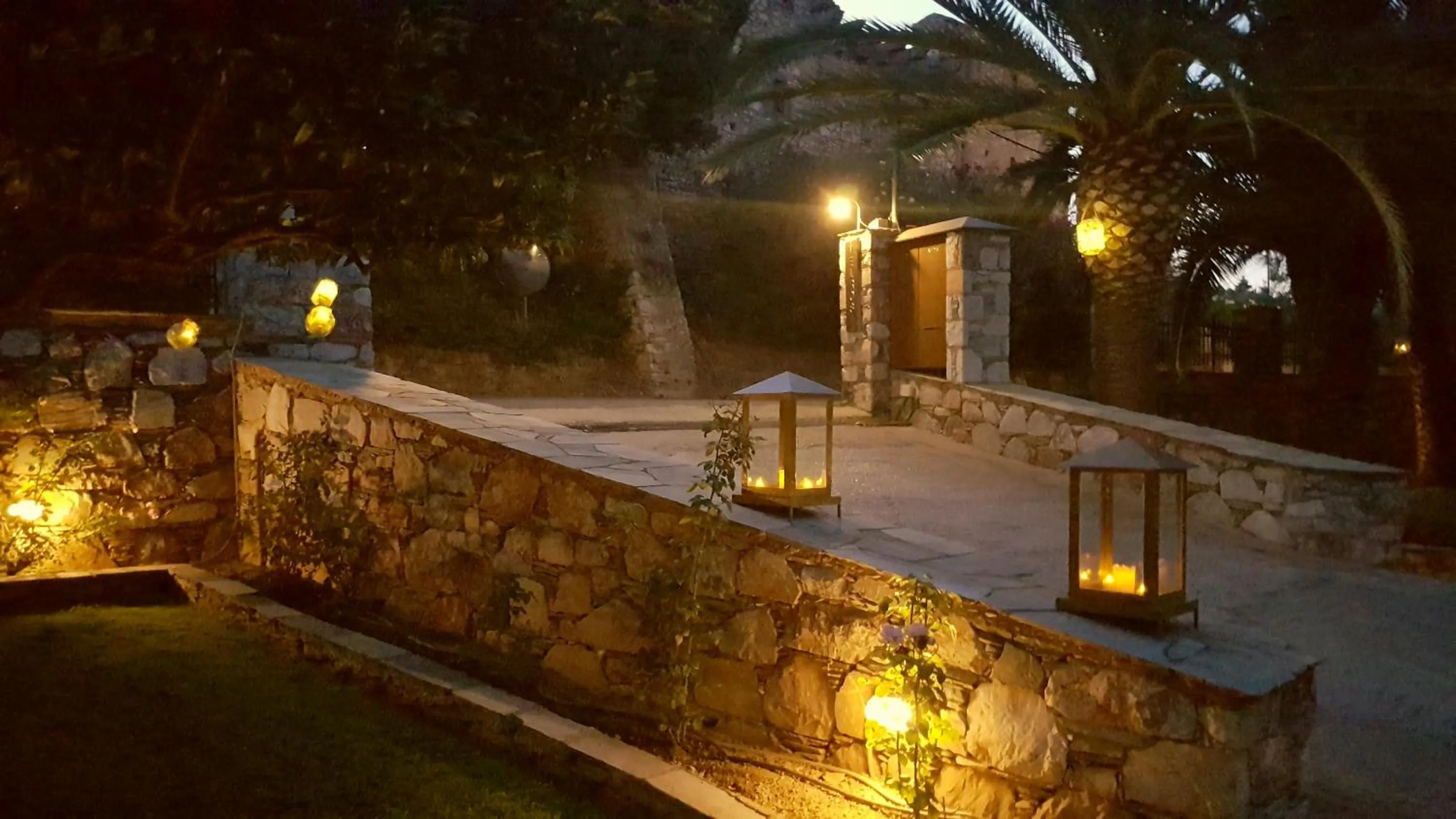 Garden in Melrose
