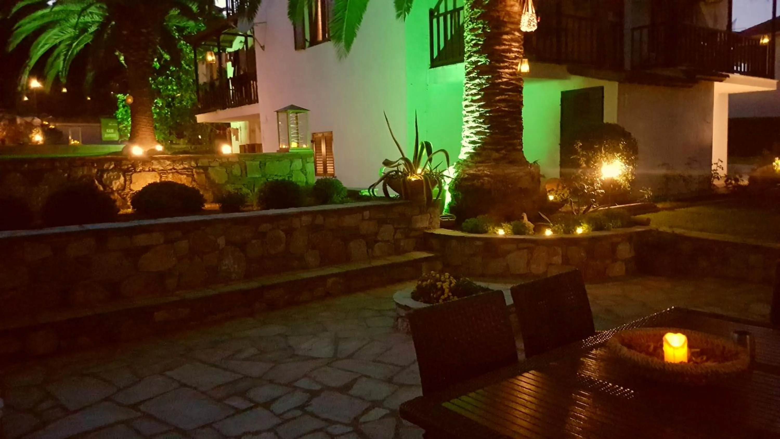 Garden in Melrose