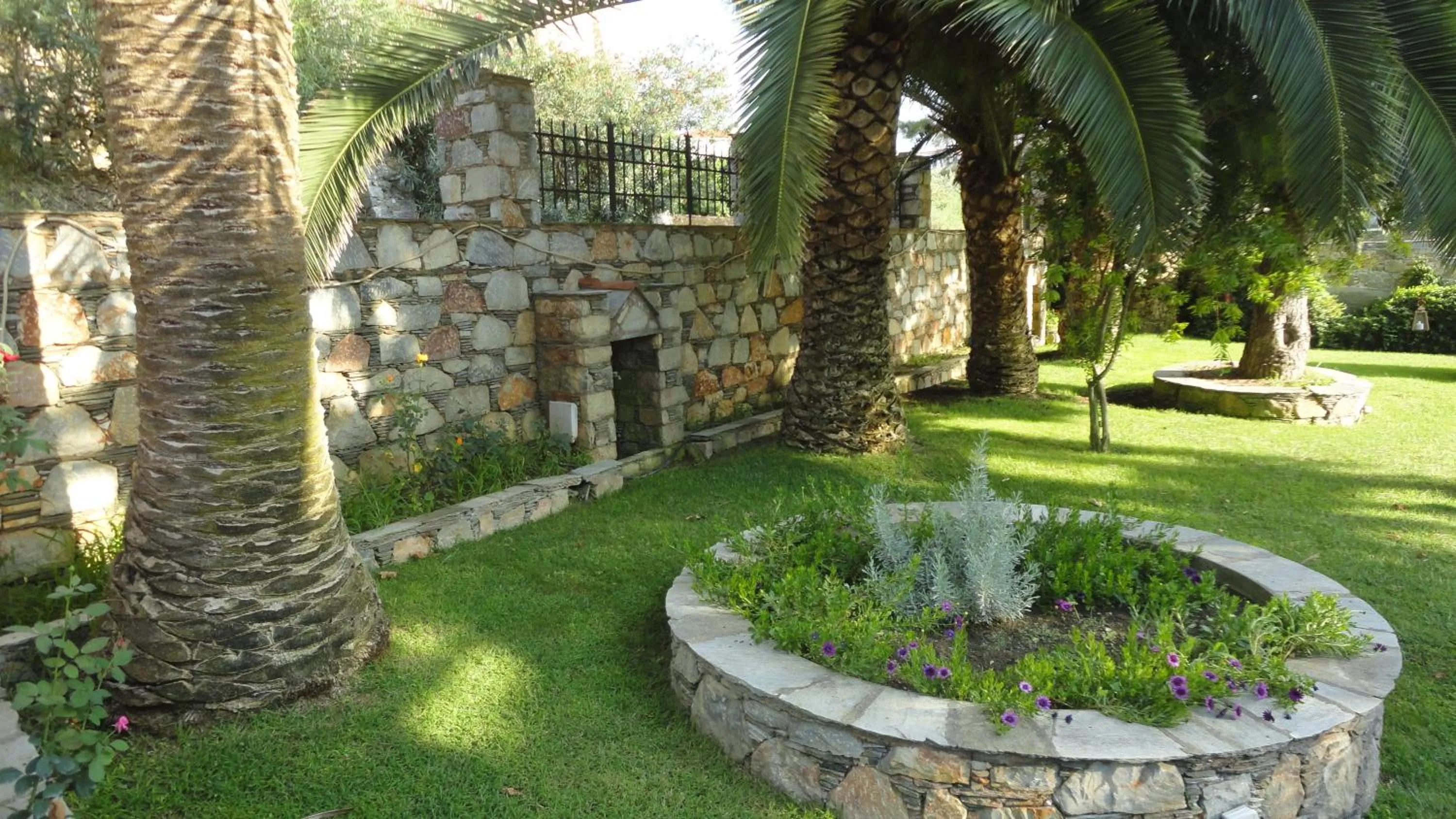 Garden in Melrose