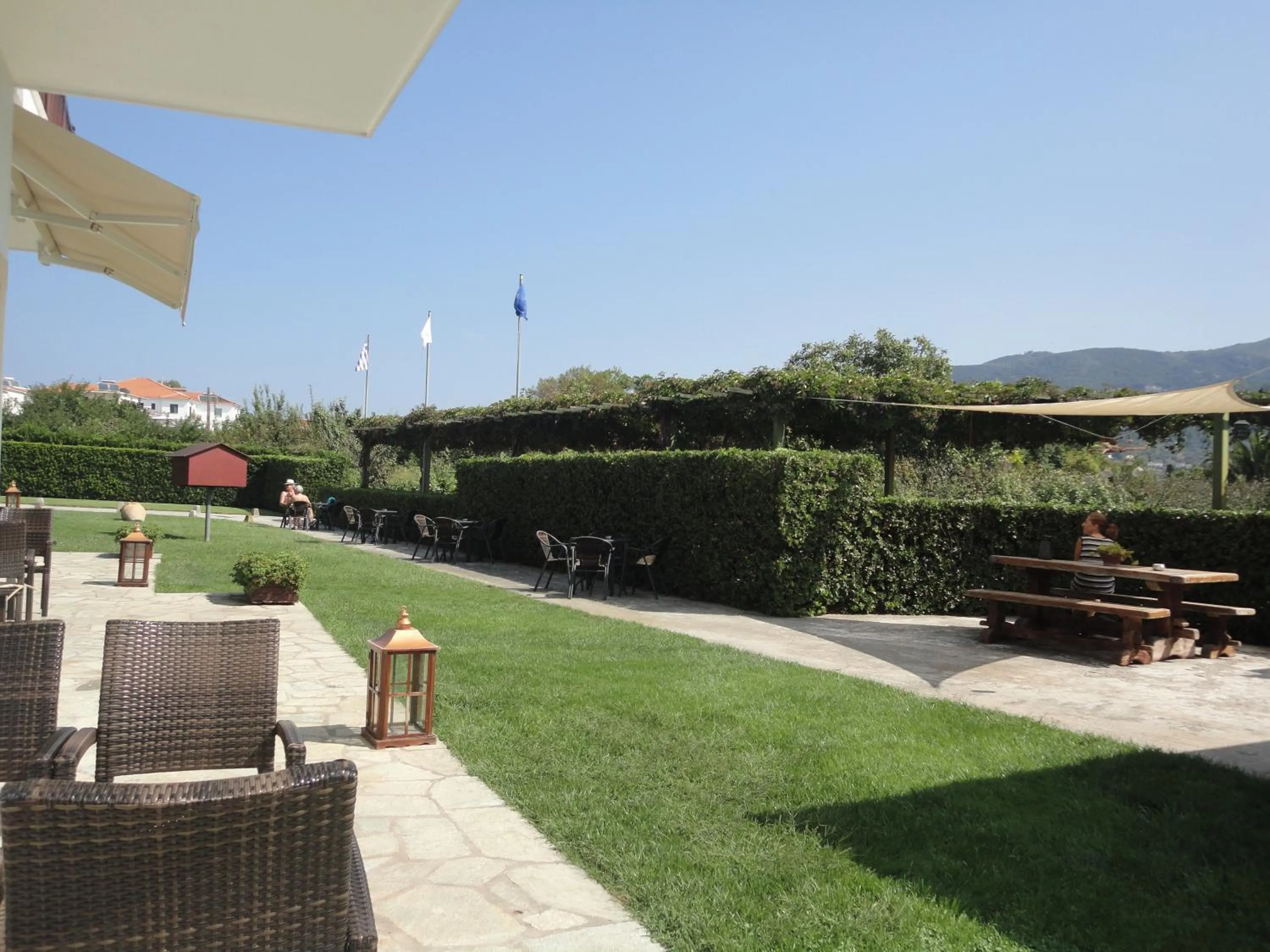 Garden view in Melrose