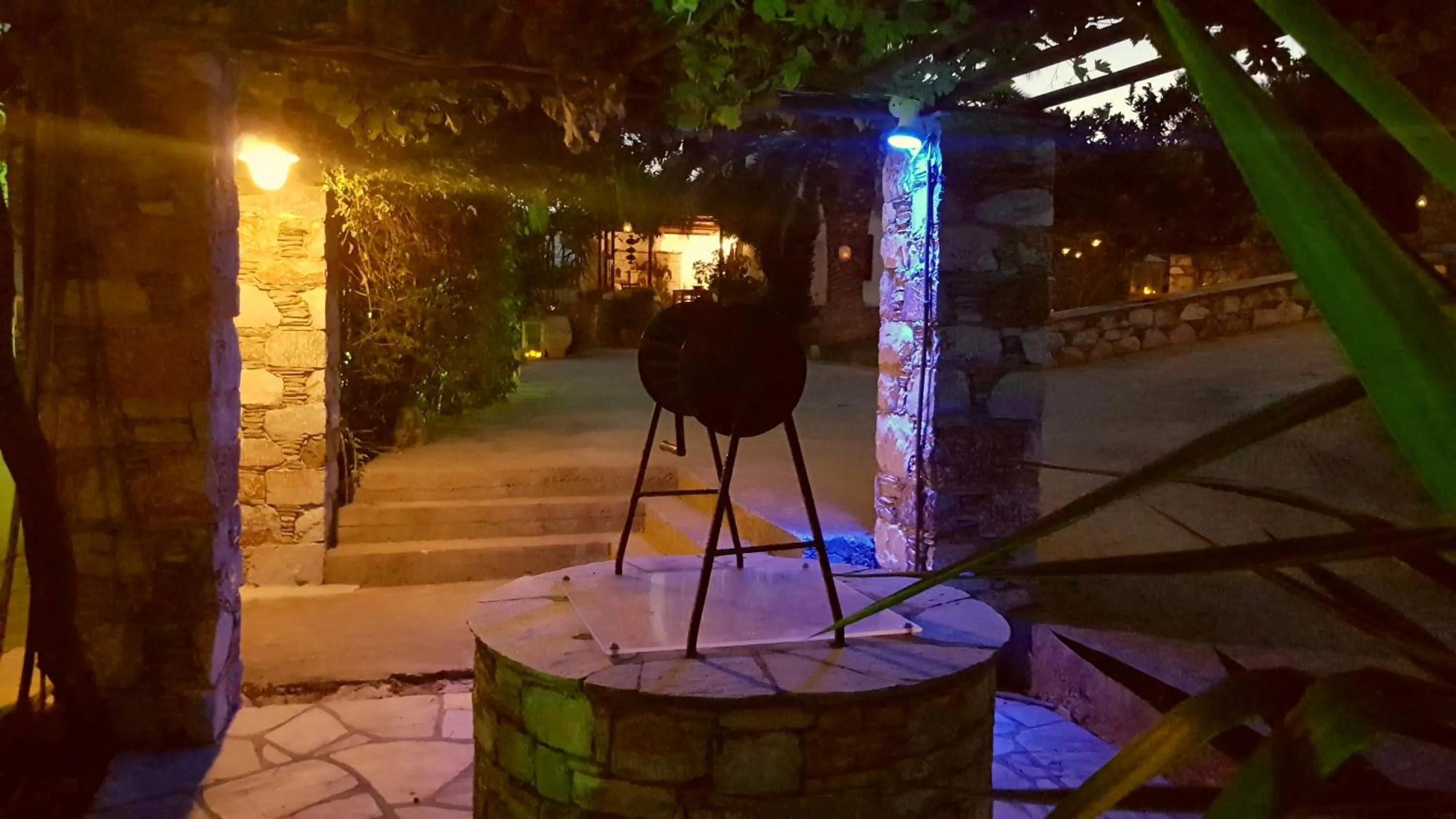 Garden in Melrose