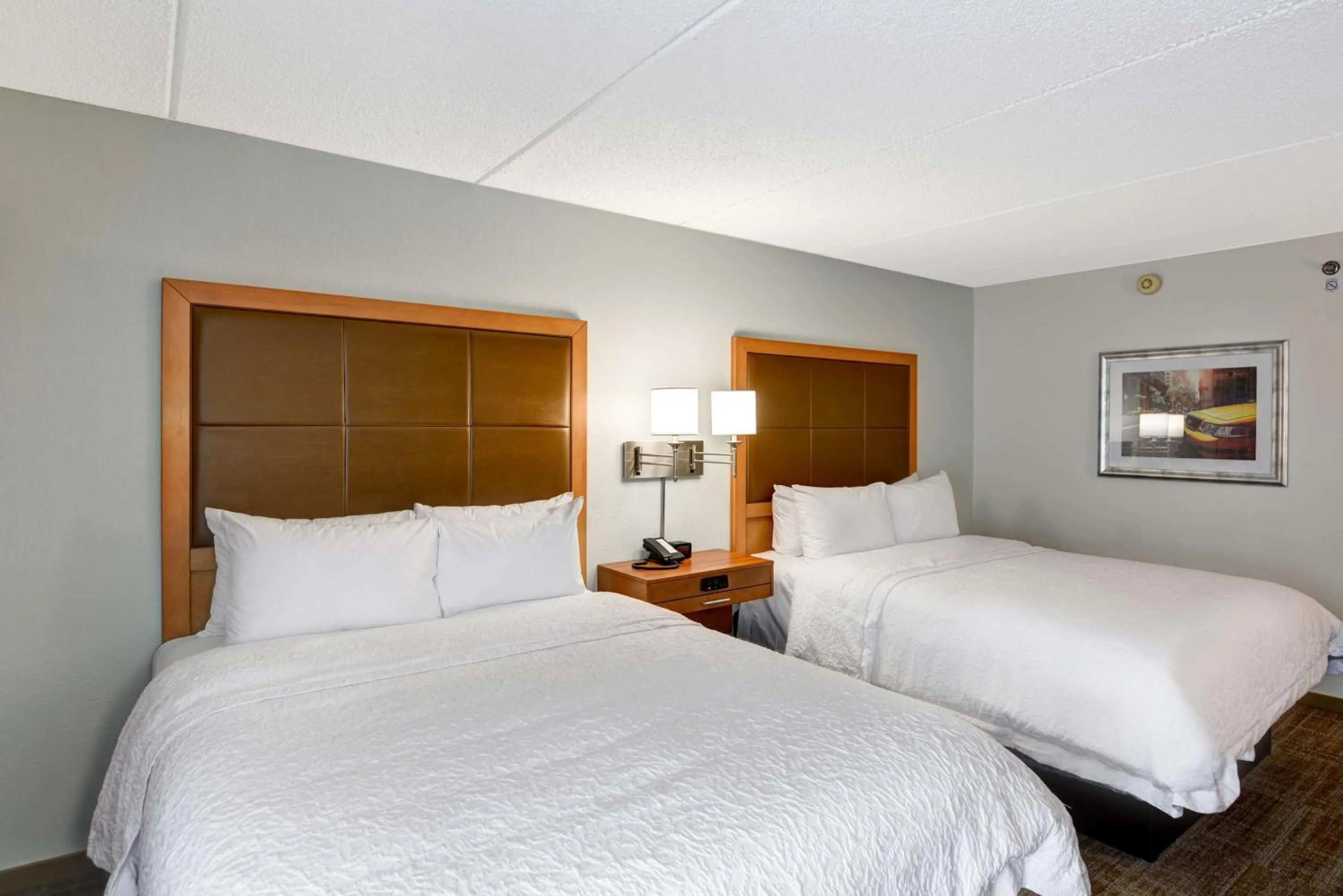 Bed in Hampton Inn Albany-Wolf Road