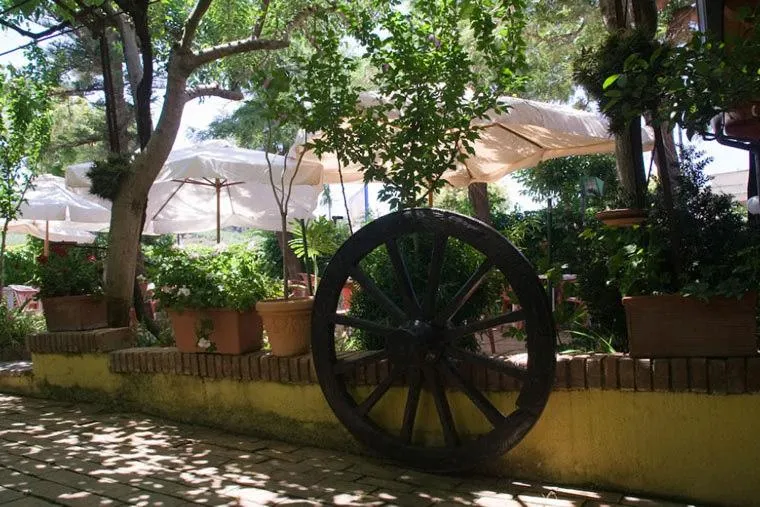 Garden view in Hotel Ristorante Solari