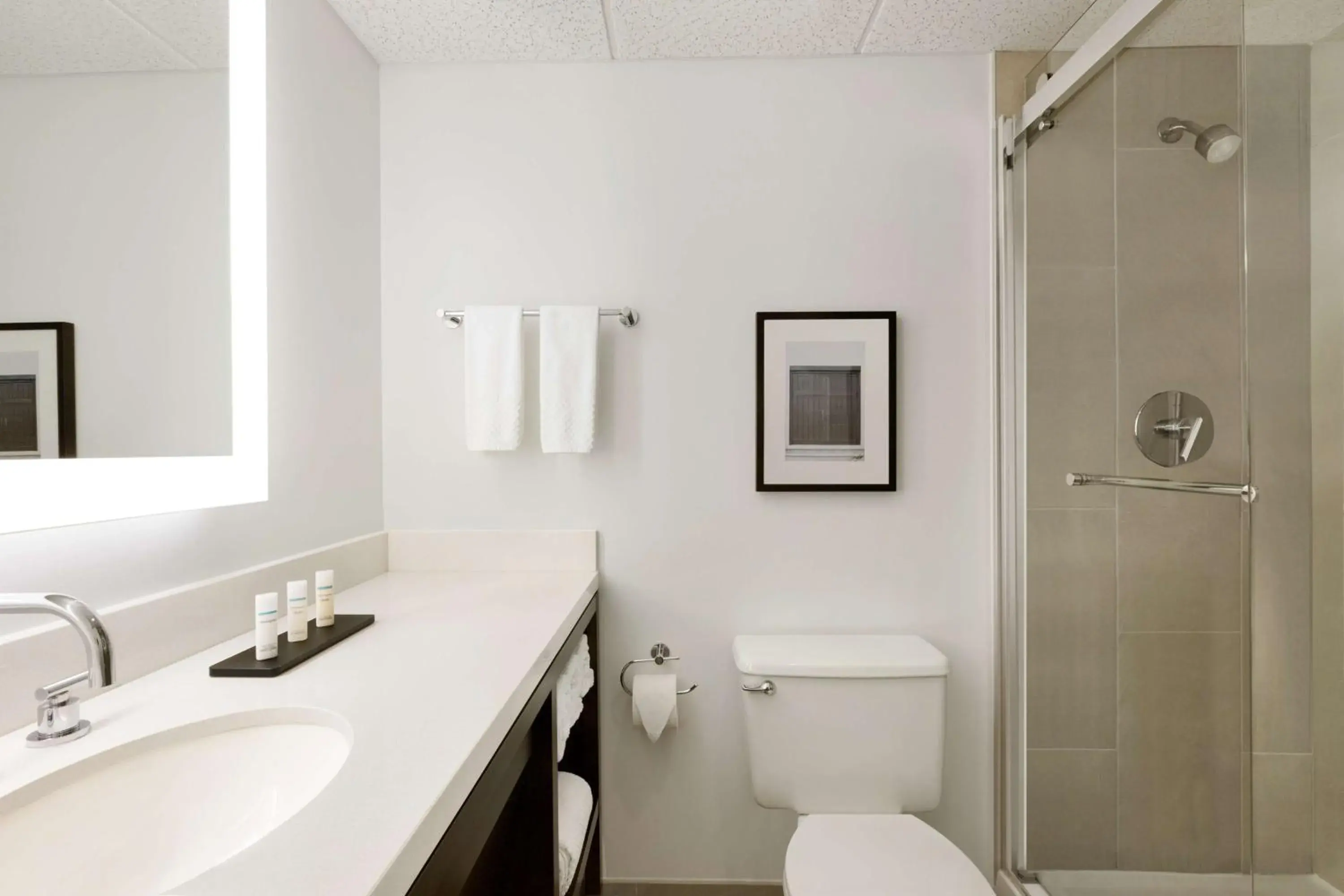 Two-Room Suite with Two Double Beds - Pure Wellness in Embassy Suites Boca Raton Two-Room Suite with Two Double Beds - Pure Wellness in Embassy Suites Boca Raton