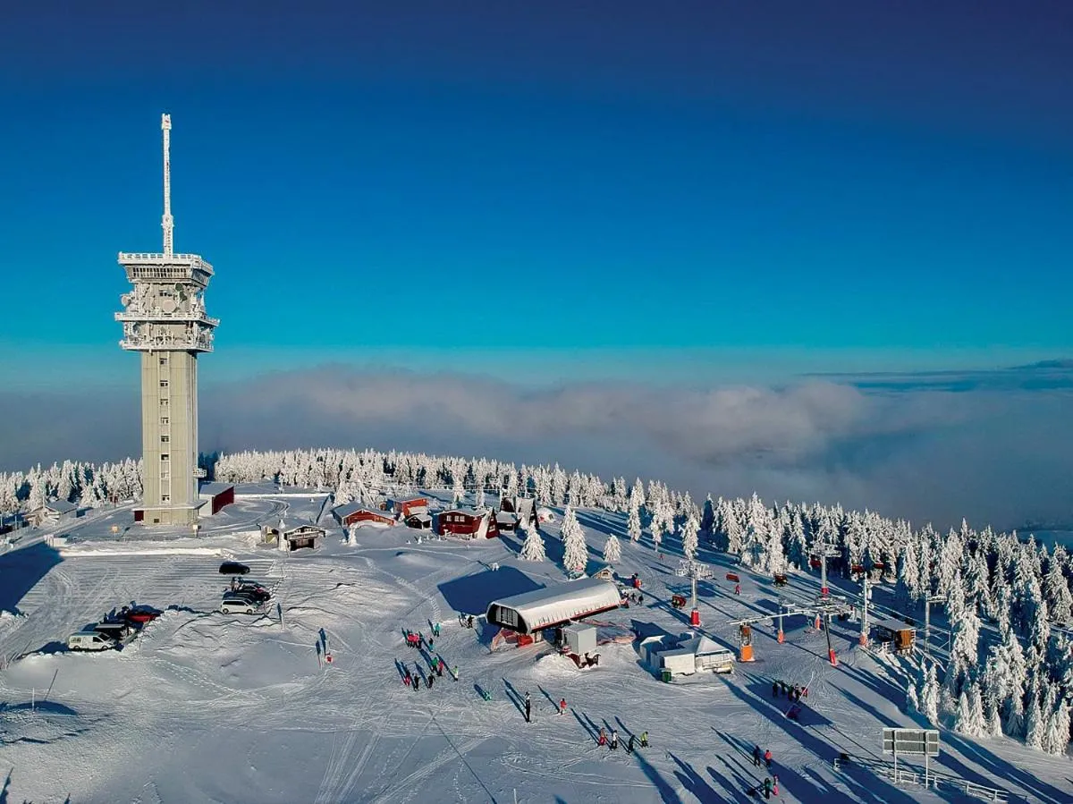 Skiing in APARTMÁNY 91 Boží Dar