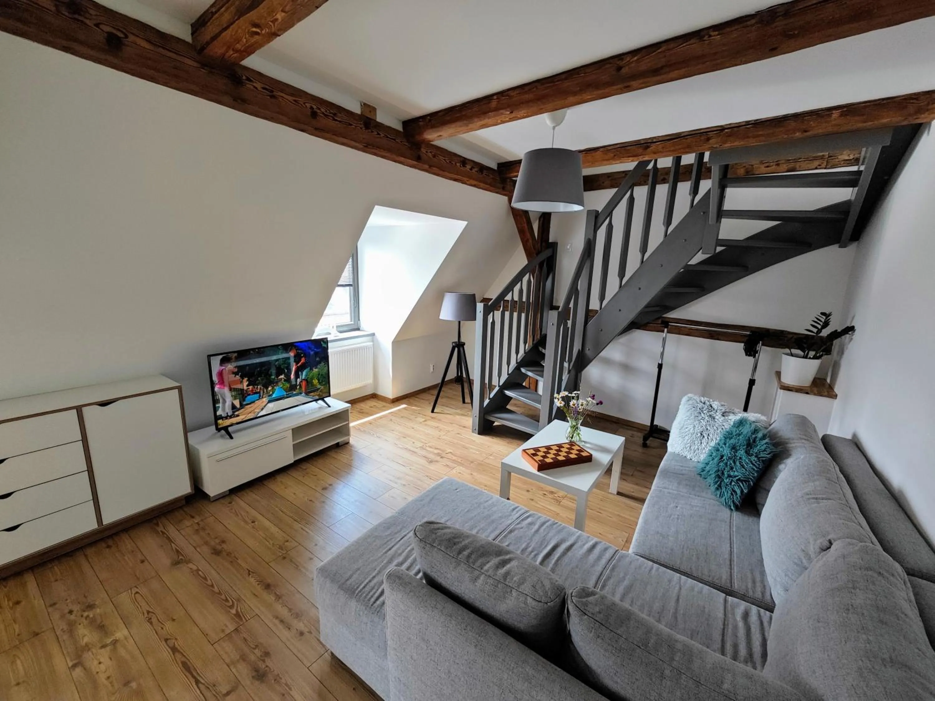 TV and multimedia in APARTMÁNY 91 Boží Dar
