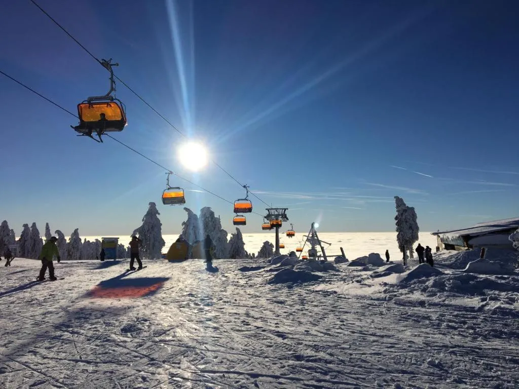 Skiing in APARTMÁNY 91 Boží Dar