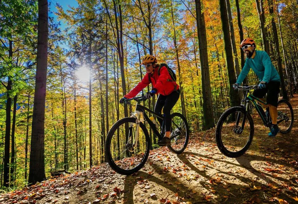 Cycling in APARTMÁNY 91 Boží Dar