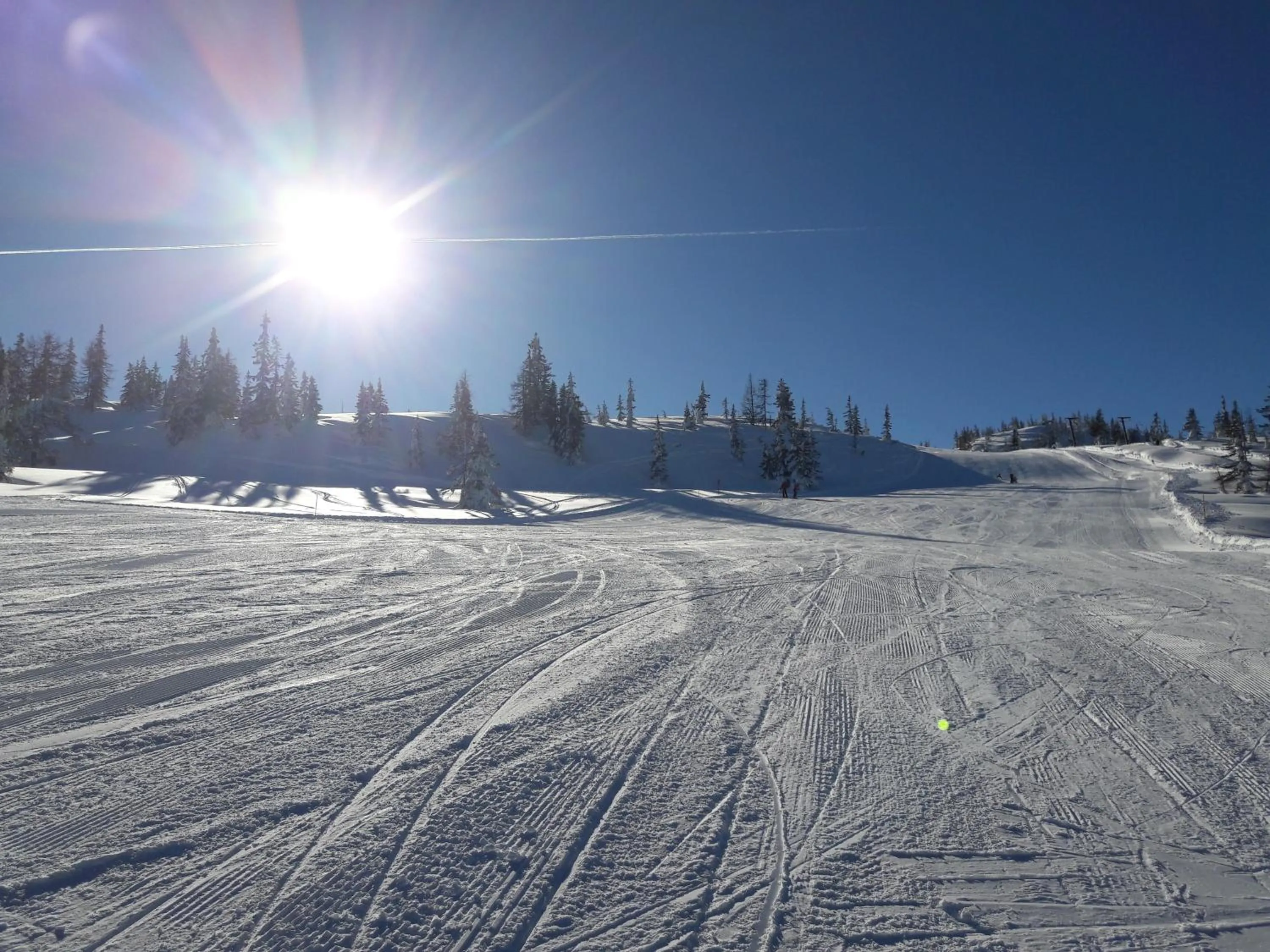 Natural landscape in FORSTAUERWiRT Hotel & Restaurant