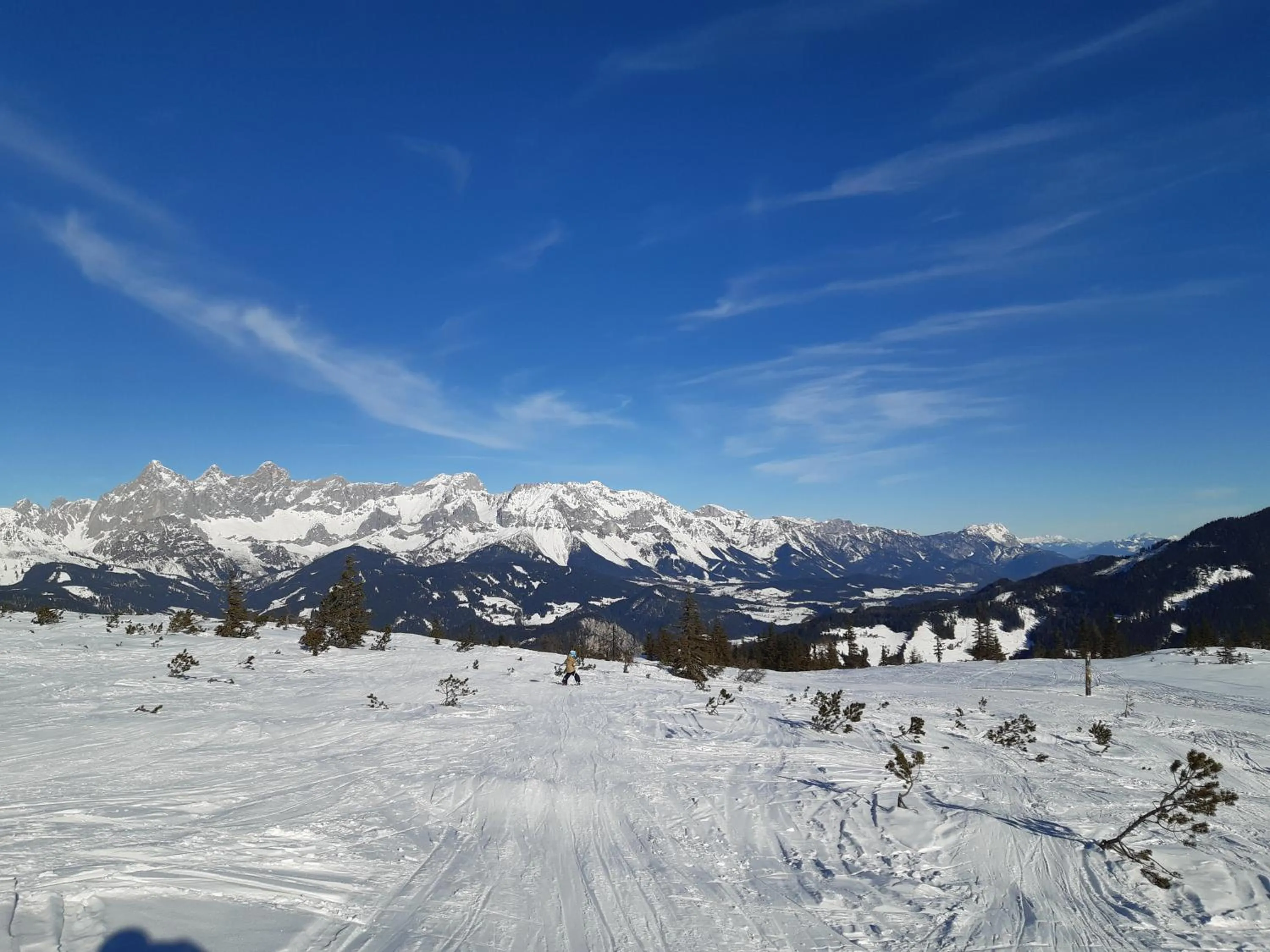 Natural landscape in FORSTAUERWiRT Hotel & Restaurant